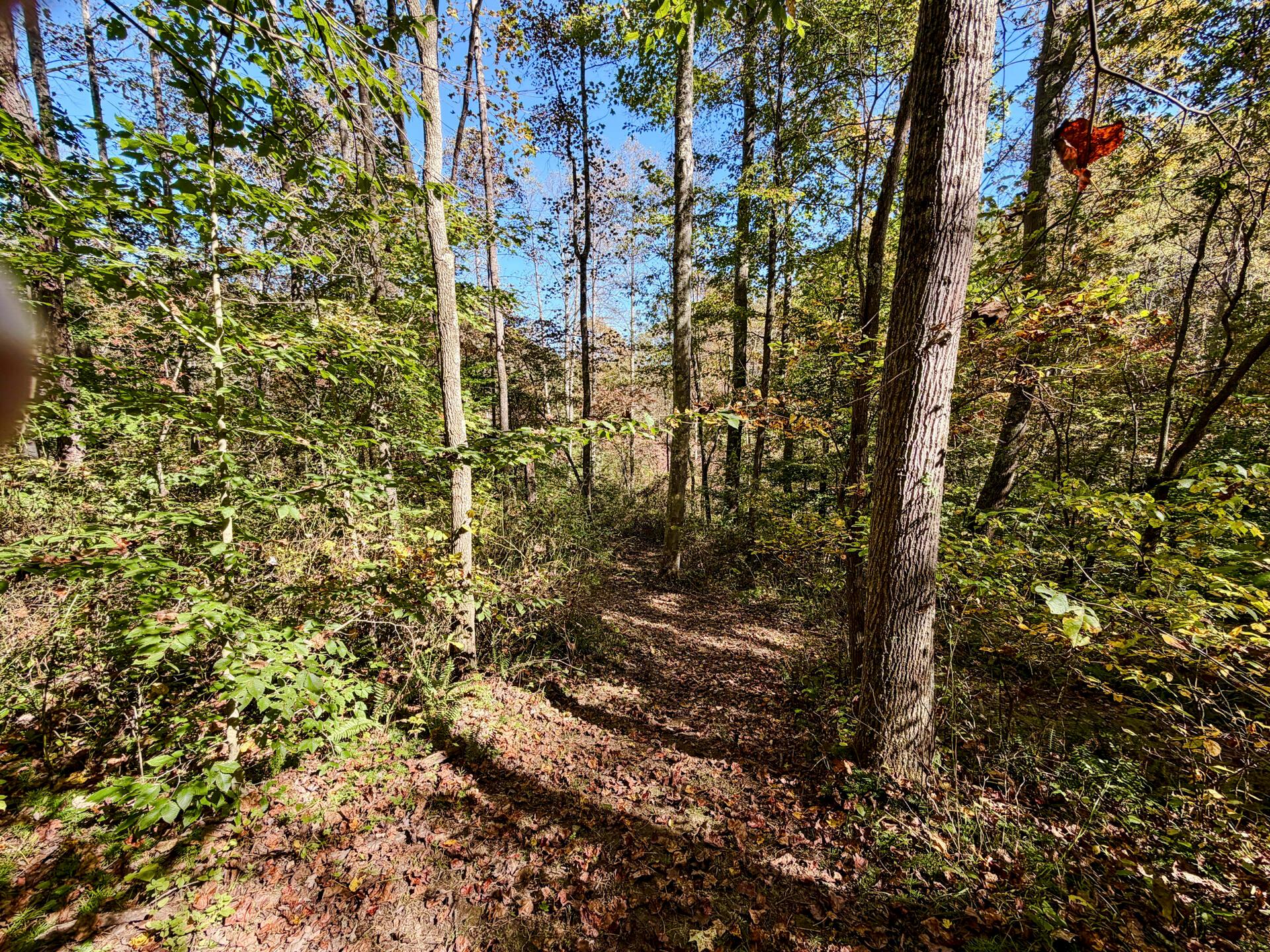 19479 Bogg Road Property Photo 27