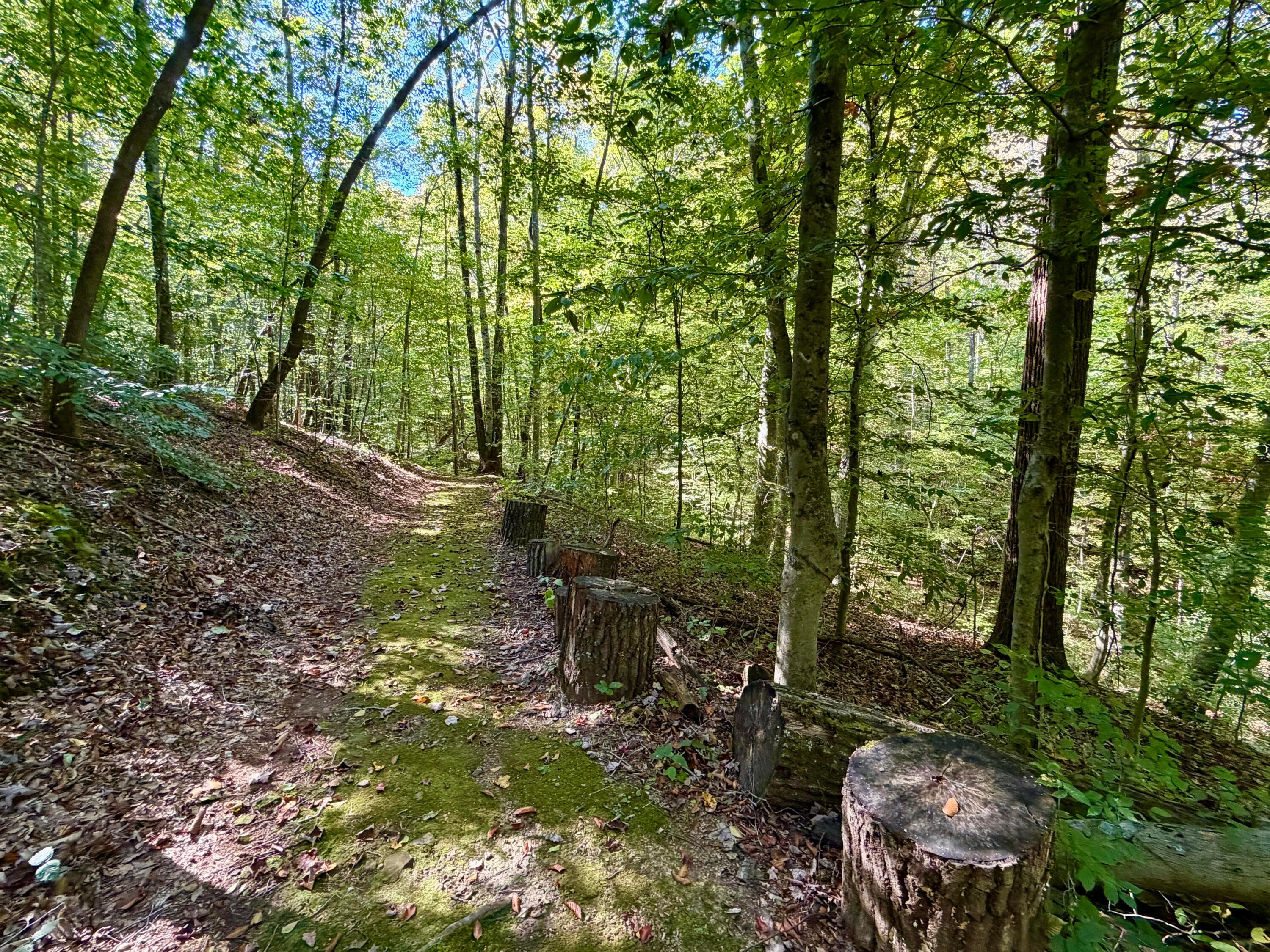 19479 Bogg Road Property Photo 63