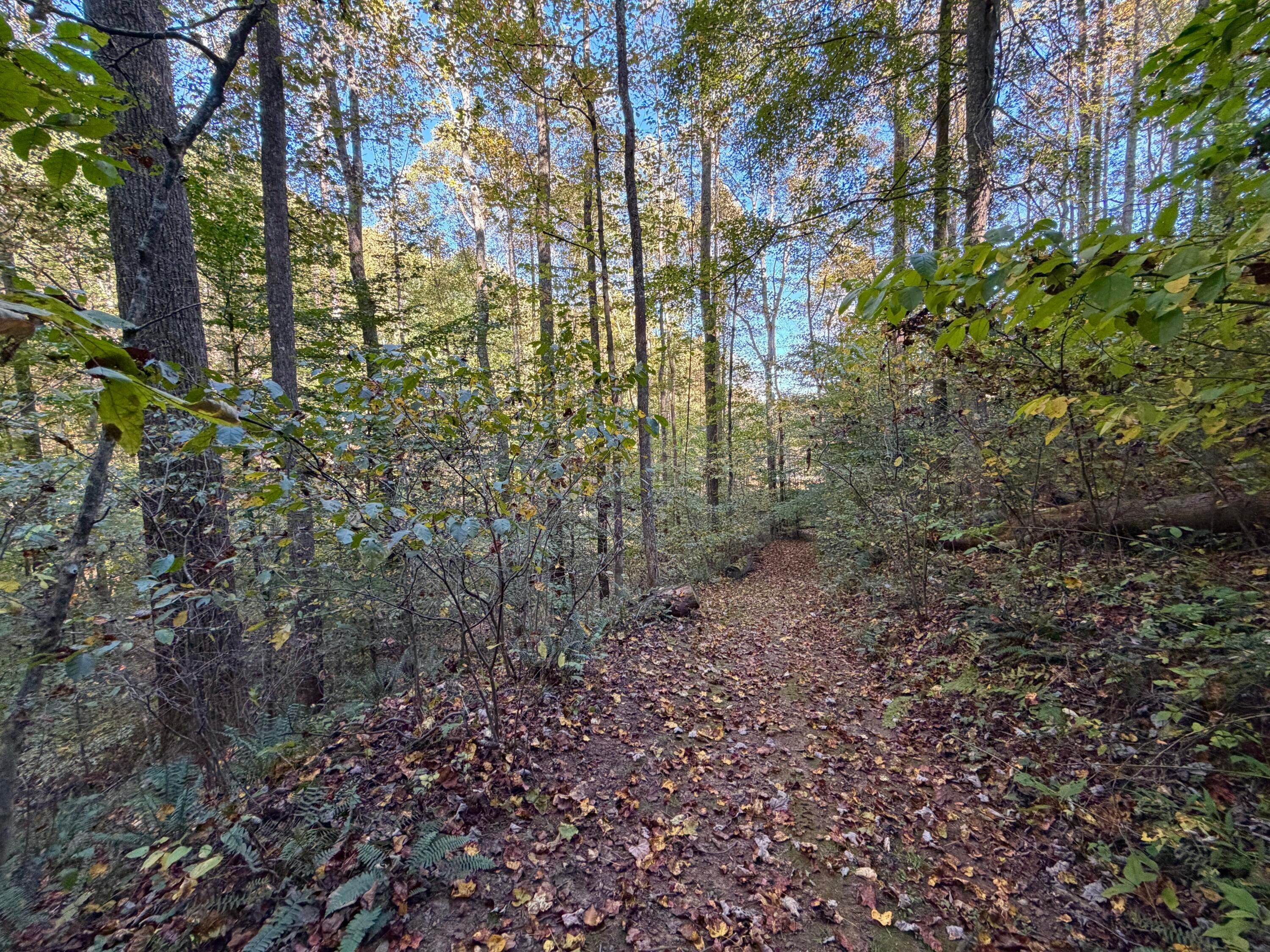 19479 Bogg Road Property Photo 64