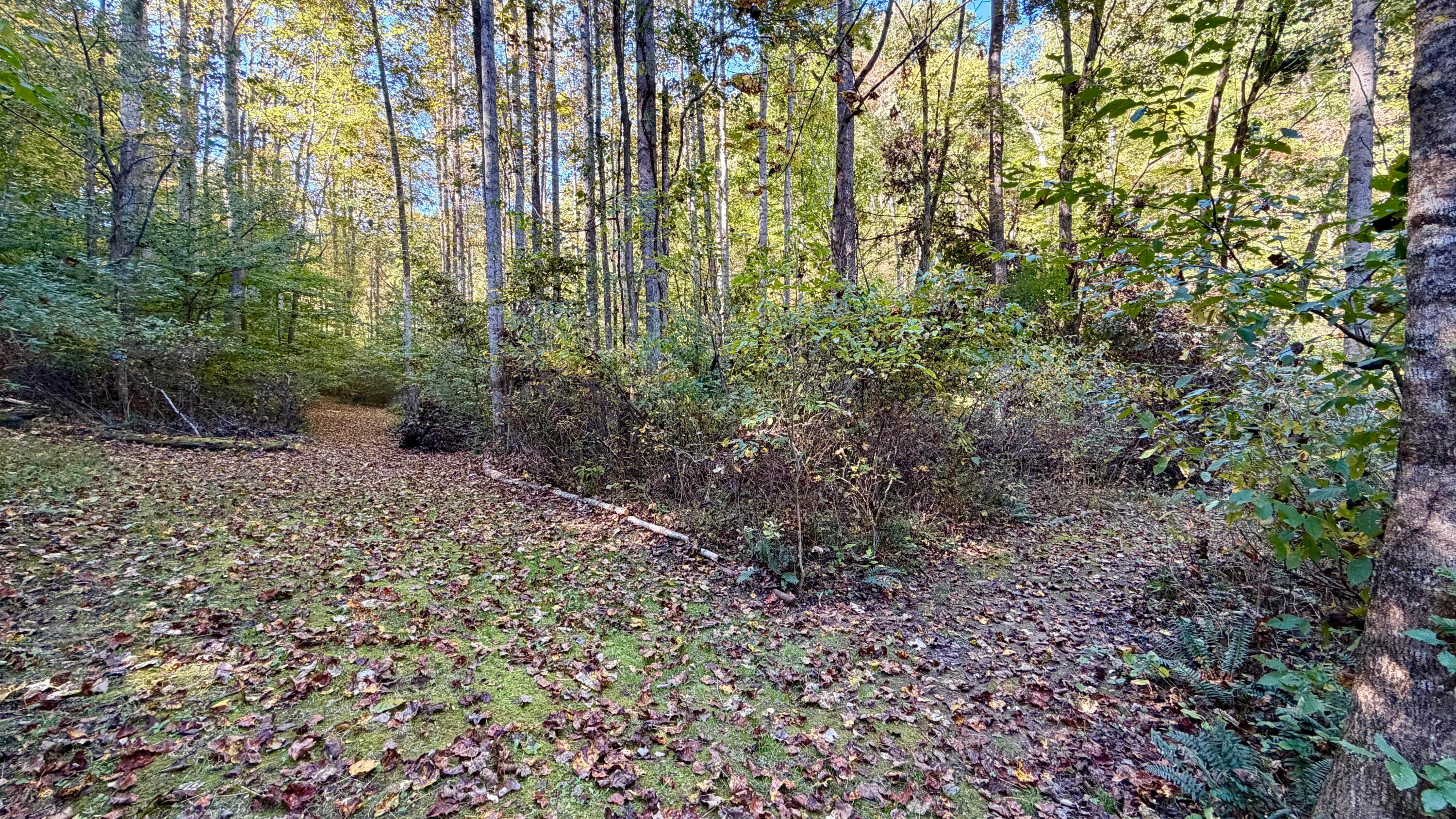 19479 Bogg Road Property Photo 71