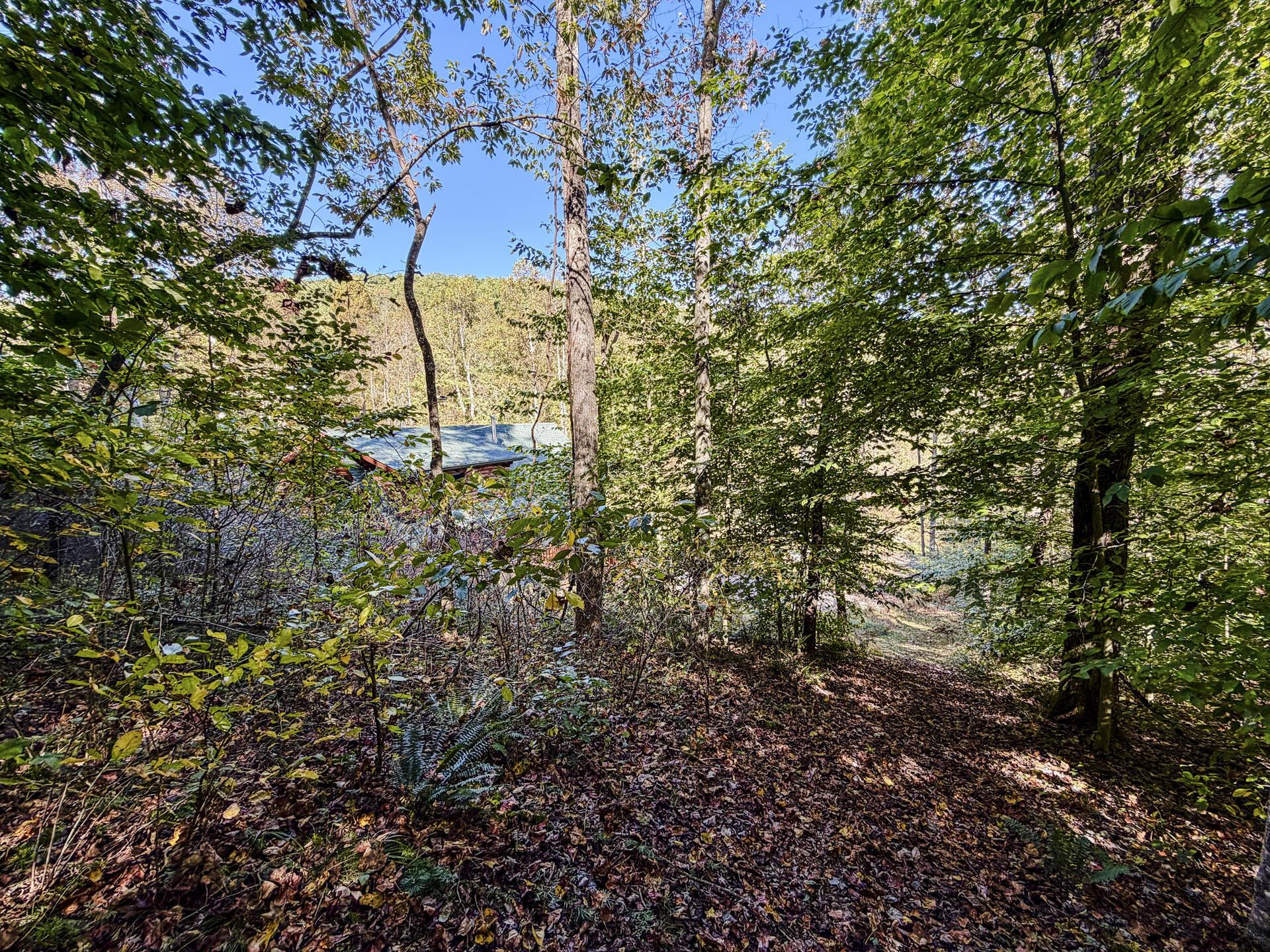 19479 Bogg Road Property Photo 72