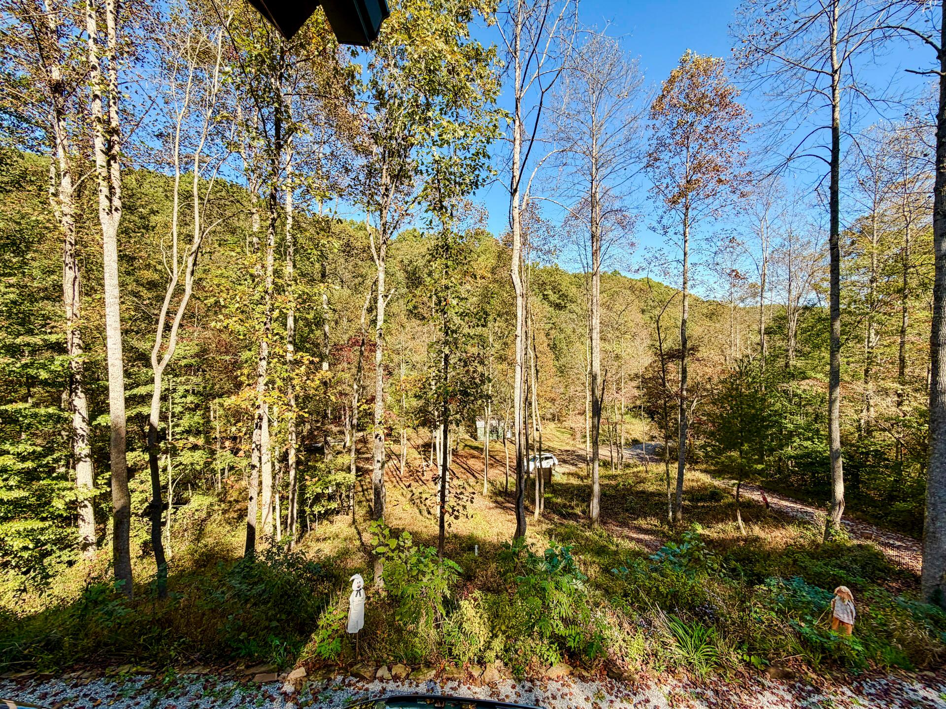 19479 Bogg Road Property Photo 73