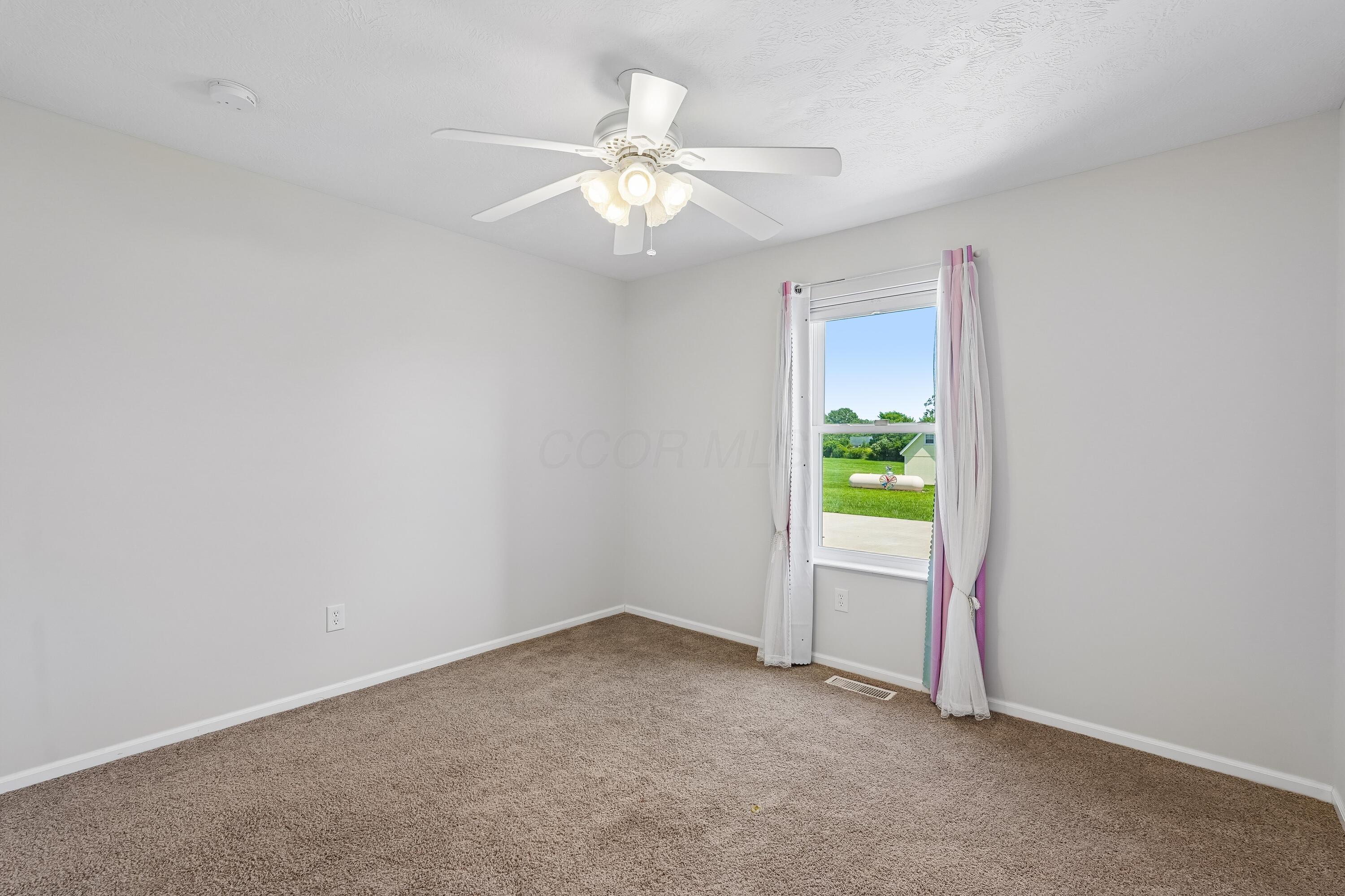 6400 Clark Road Property Photo 21