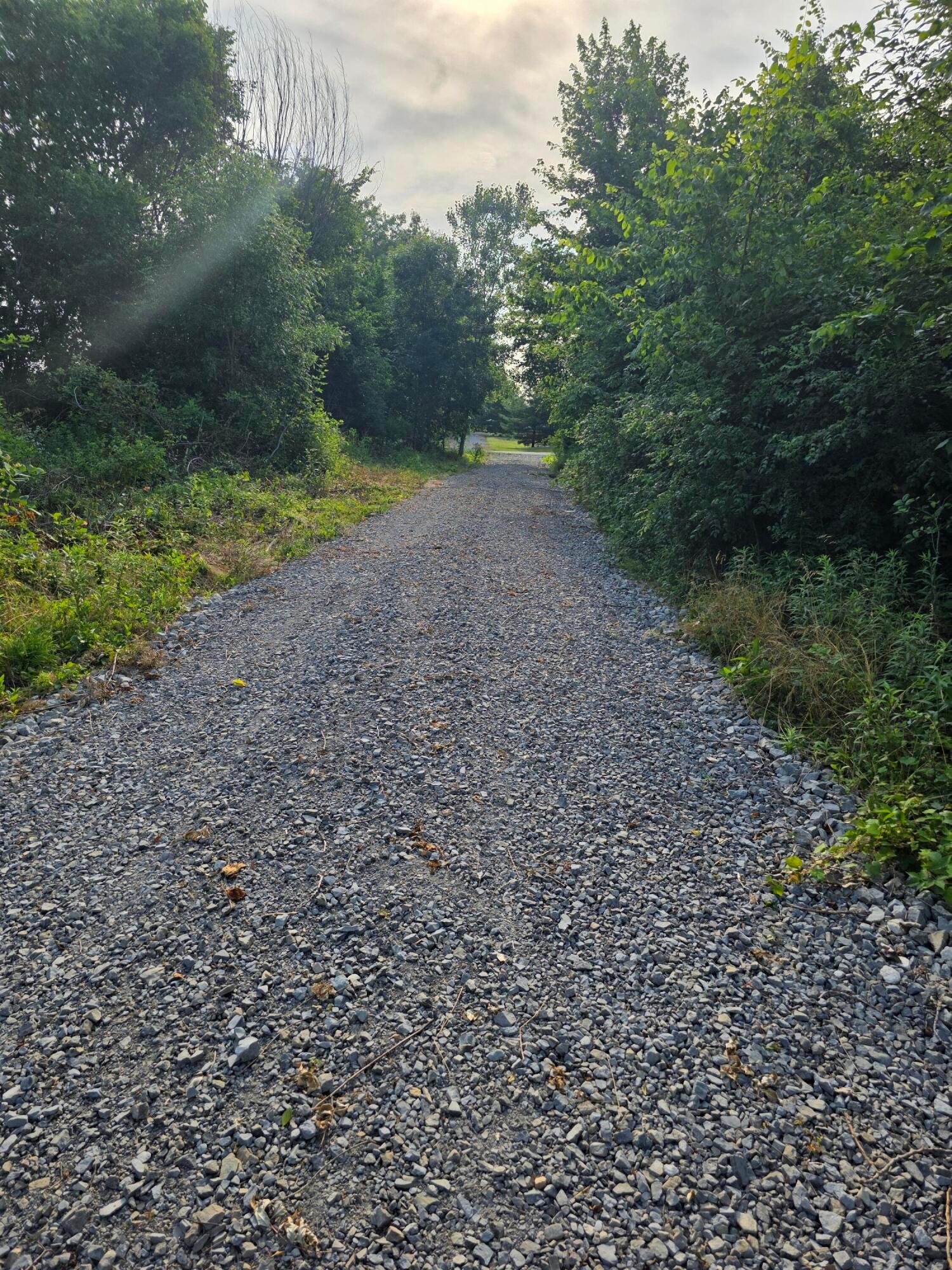 13631 Leeper-perkins Road Property Photo 6