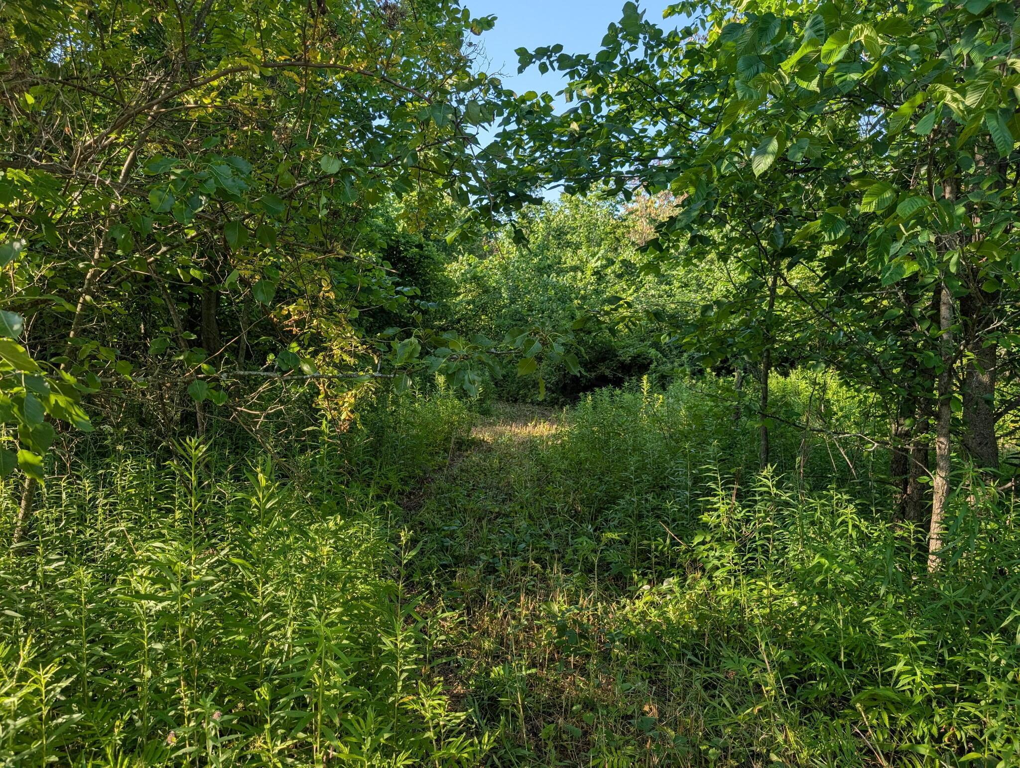 13631 Leeper-perkins Road Property Photo 8