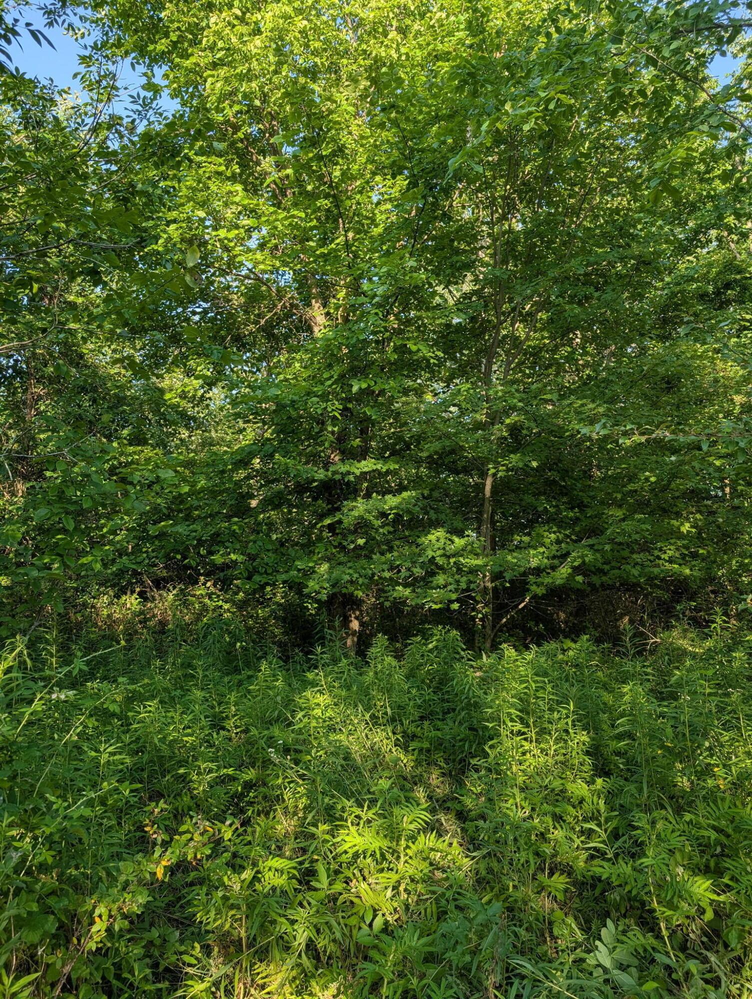 13631 Leeper-perkins Road Property Photo 9