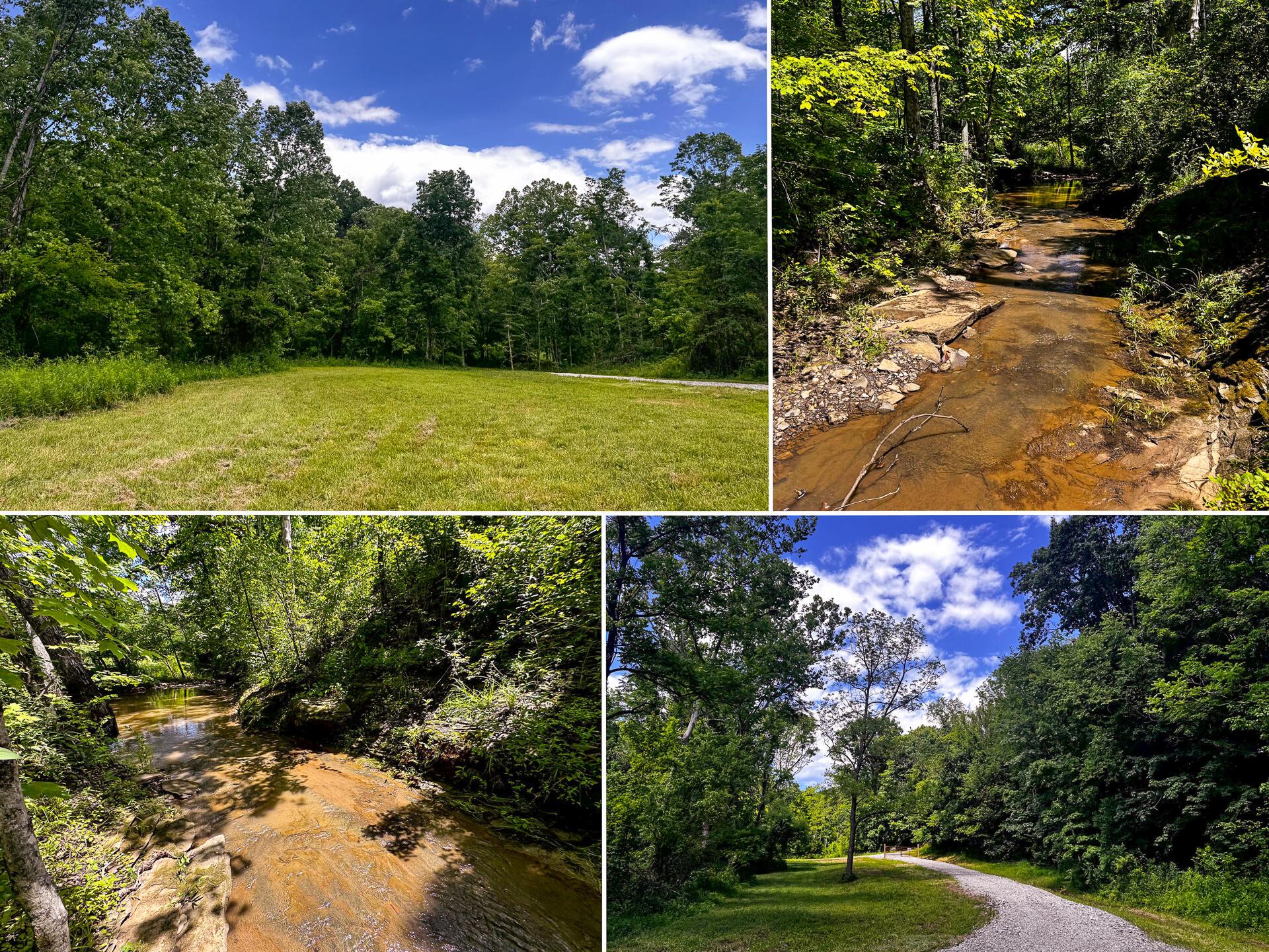 0 Barr Hollow Road Property Photo 1