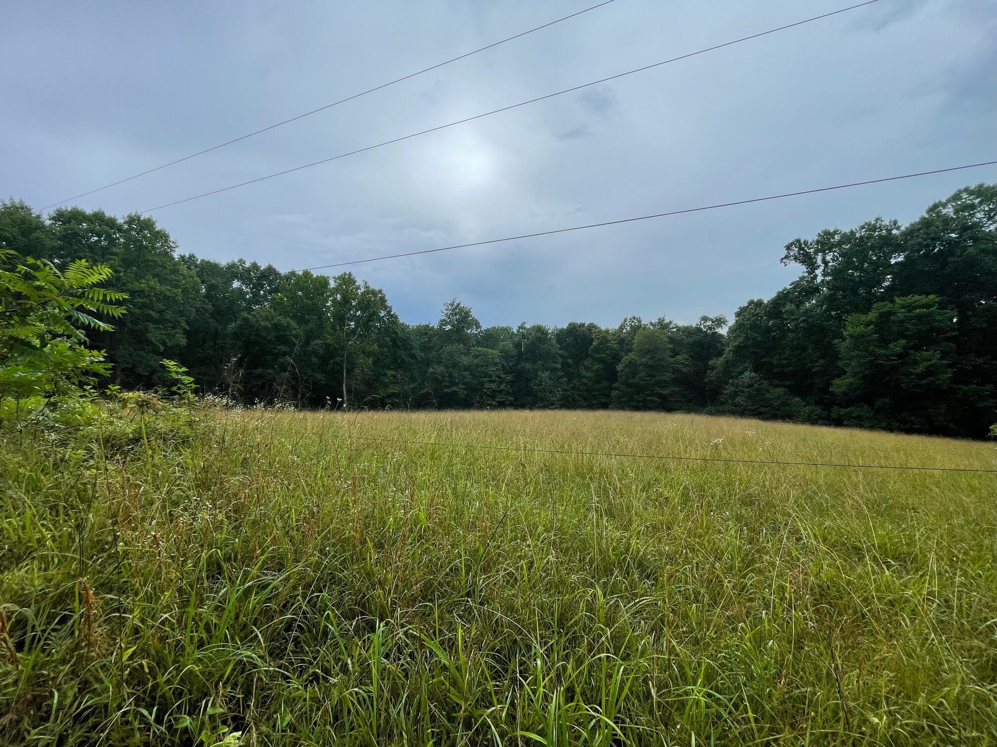 1663 Orpheus Road Property Photo 15