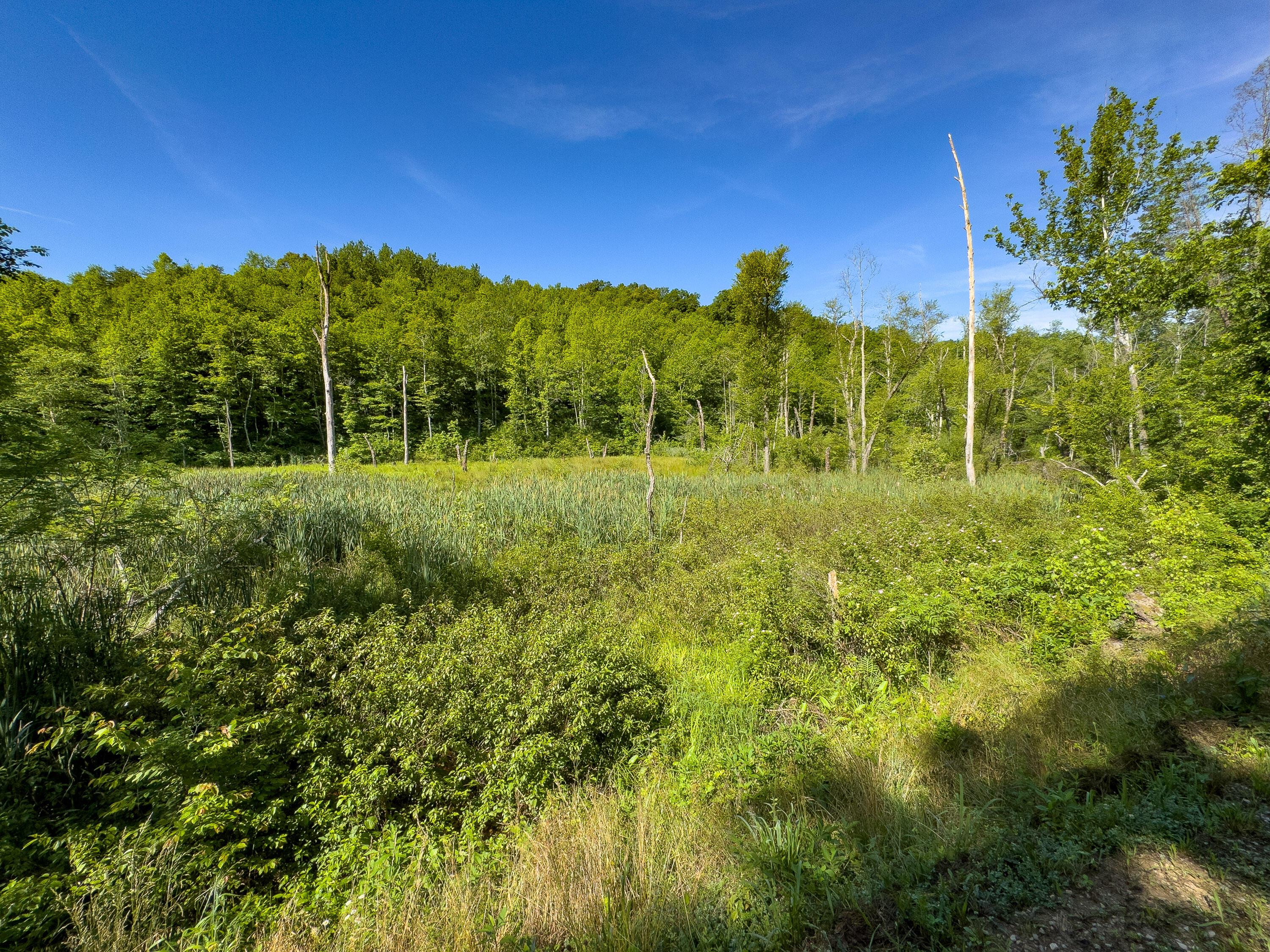 0 Jake Road Property Photo 5