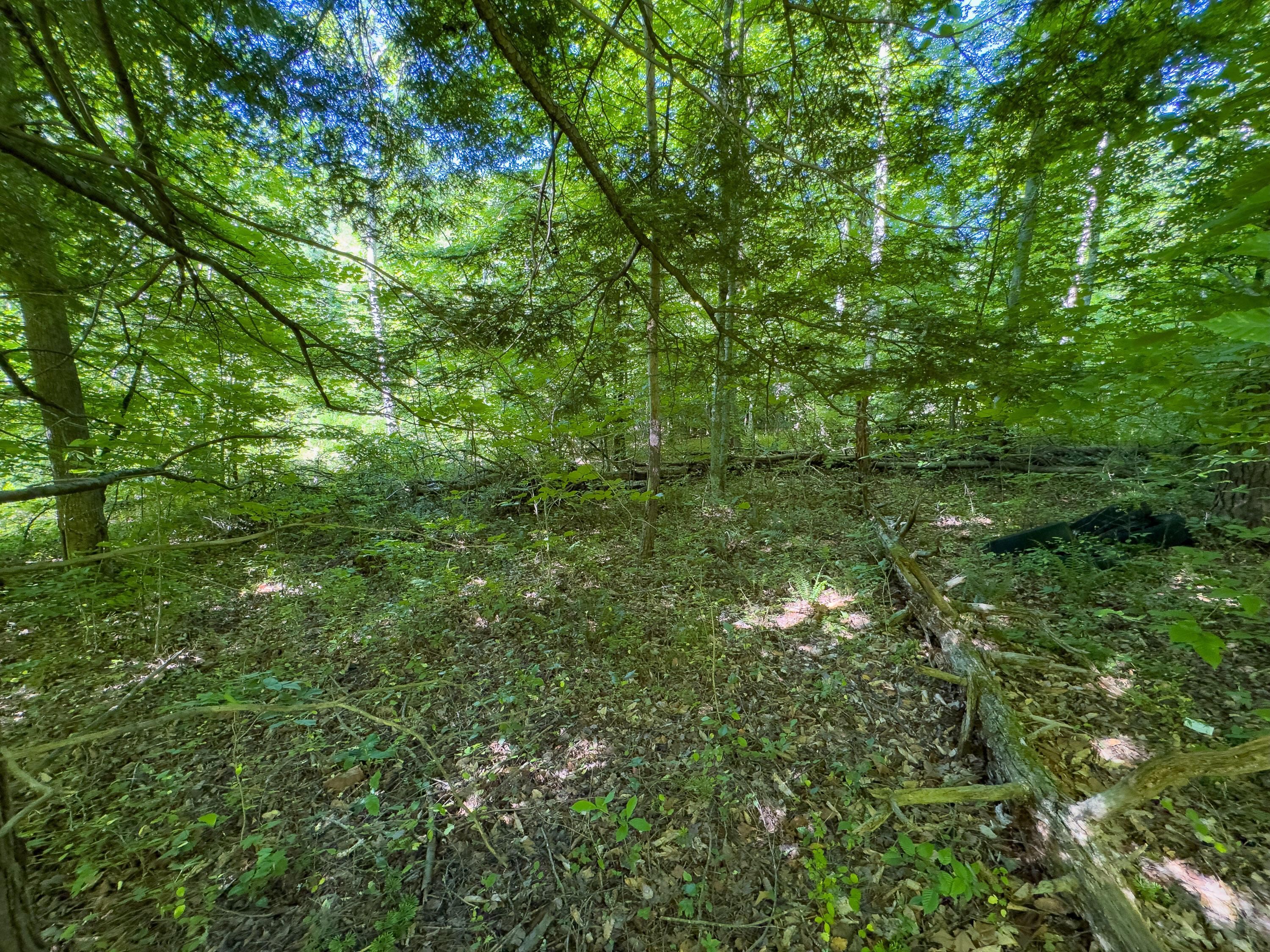0 Jake Road Property Photo 11
