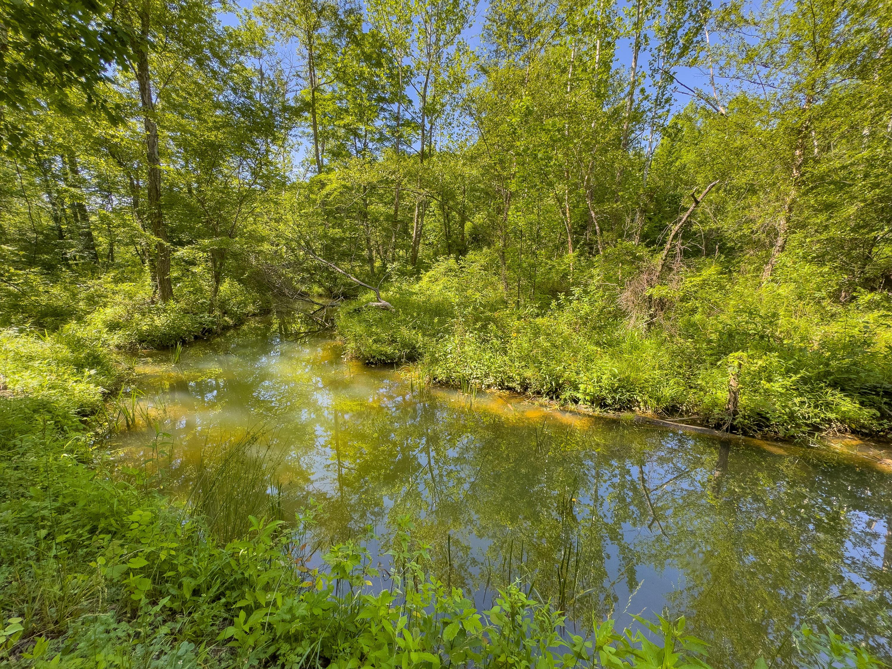 0 Jake Road Property Photo 14