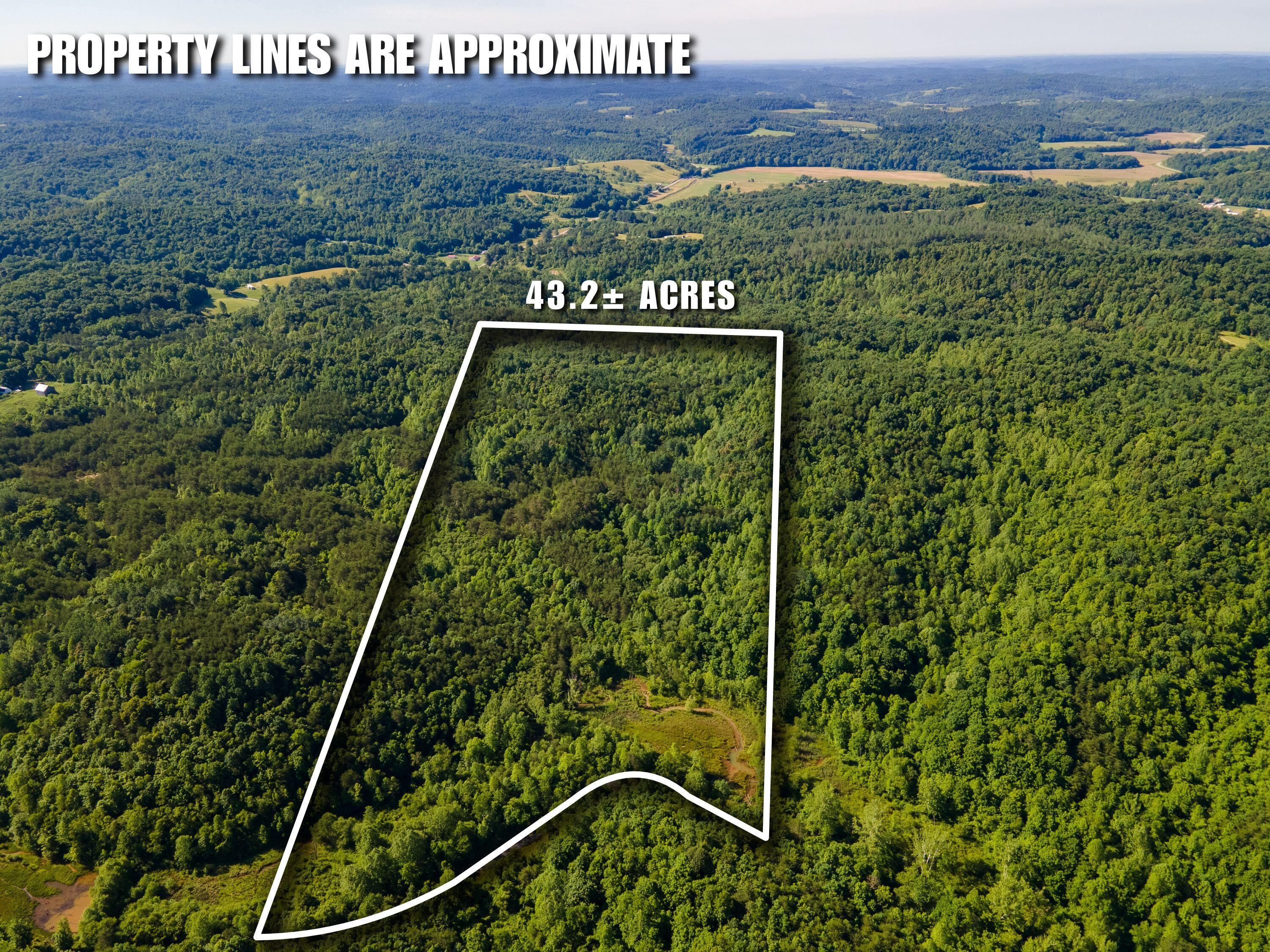 Tract 3 Jake Road Property Photo 1