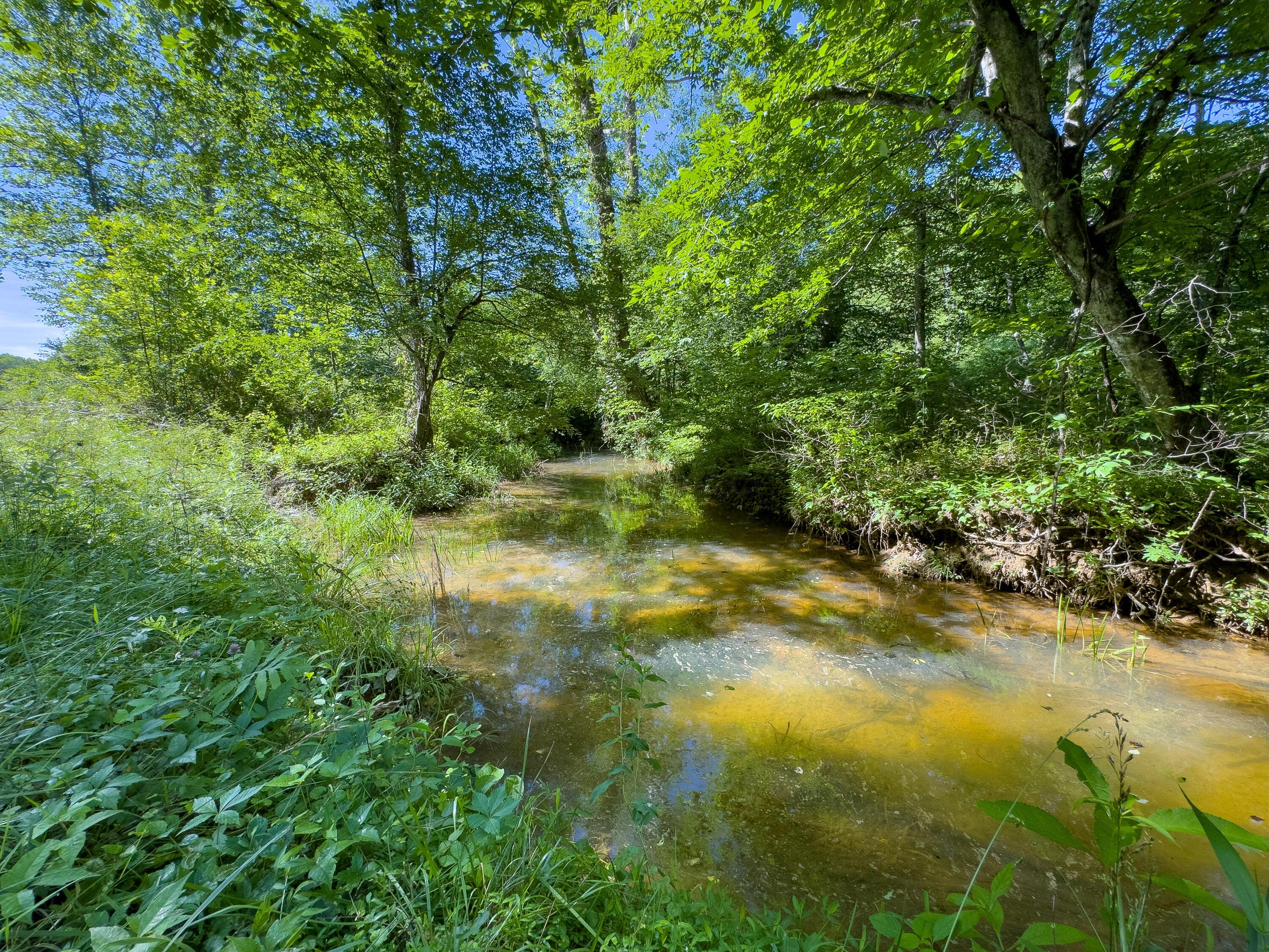 Tract 3 Jake Road Property Photo 6