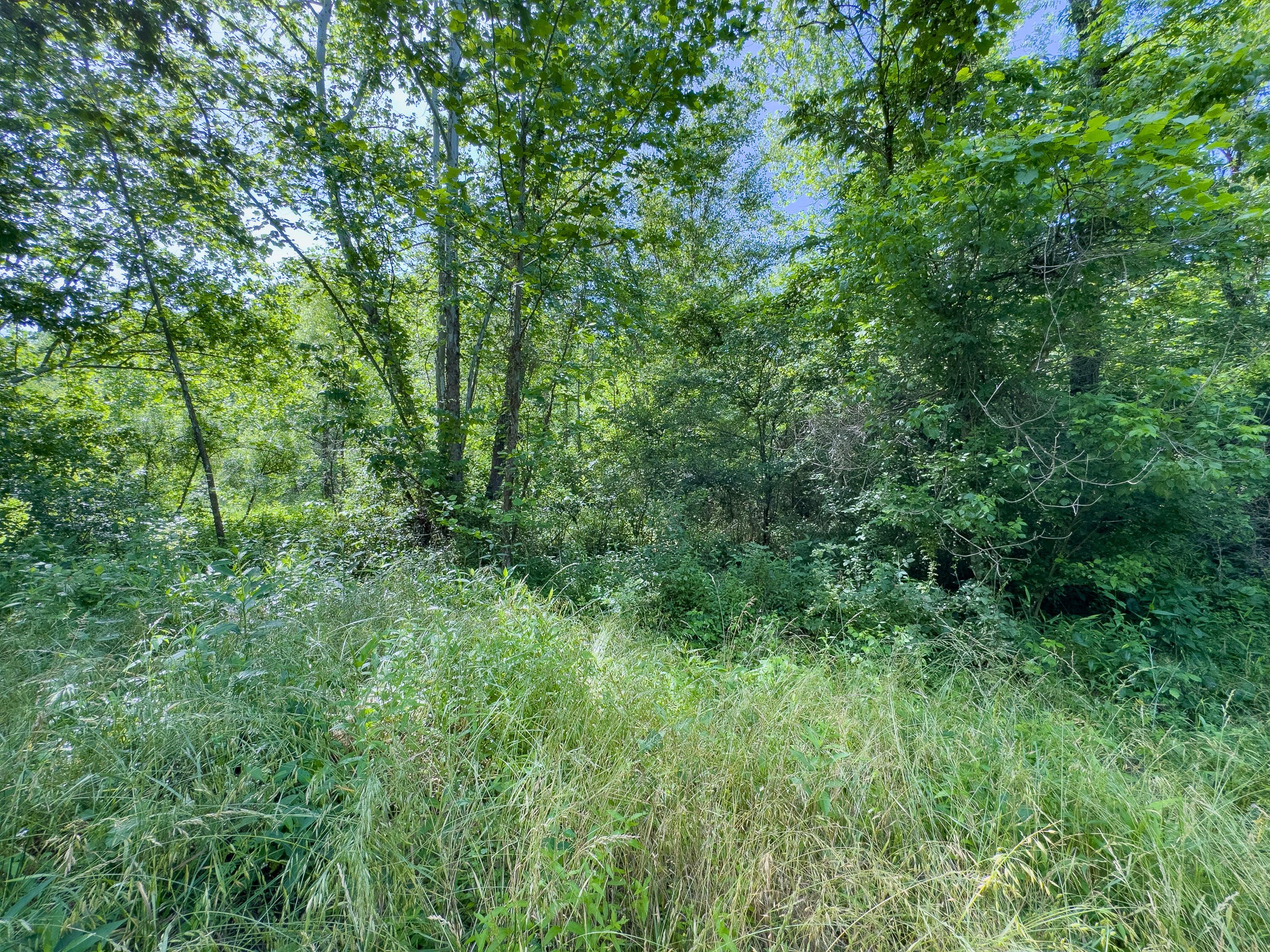 Tract 3 Jake Road Property Photo 10