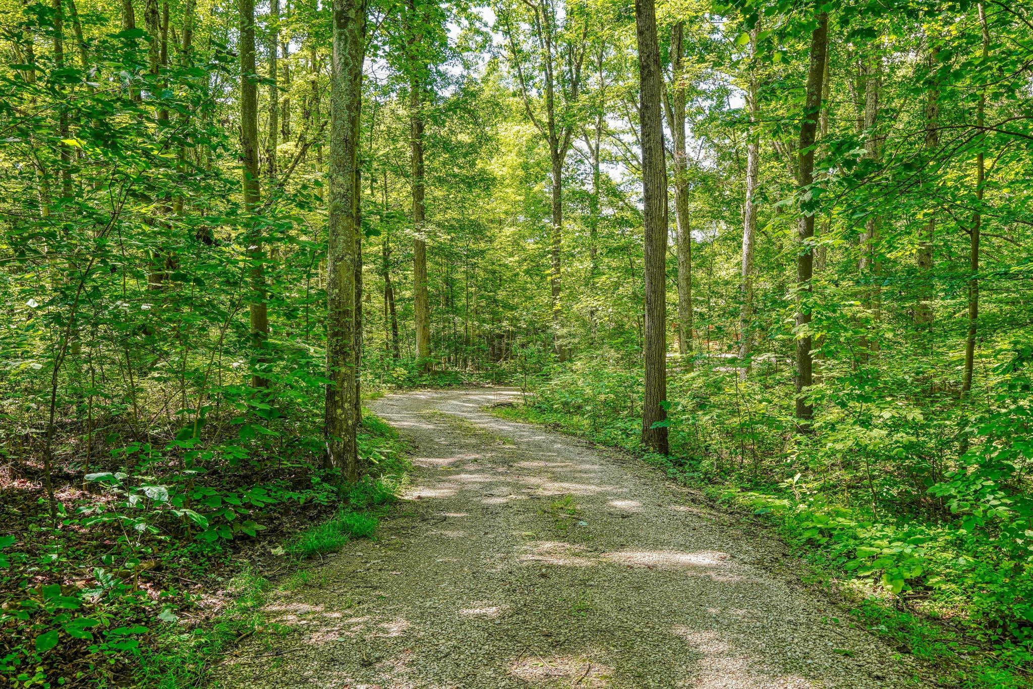 21221 Sterling Road Property Photo 19