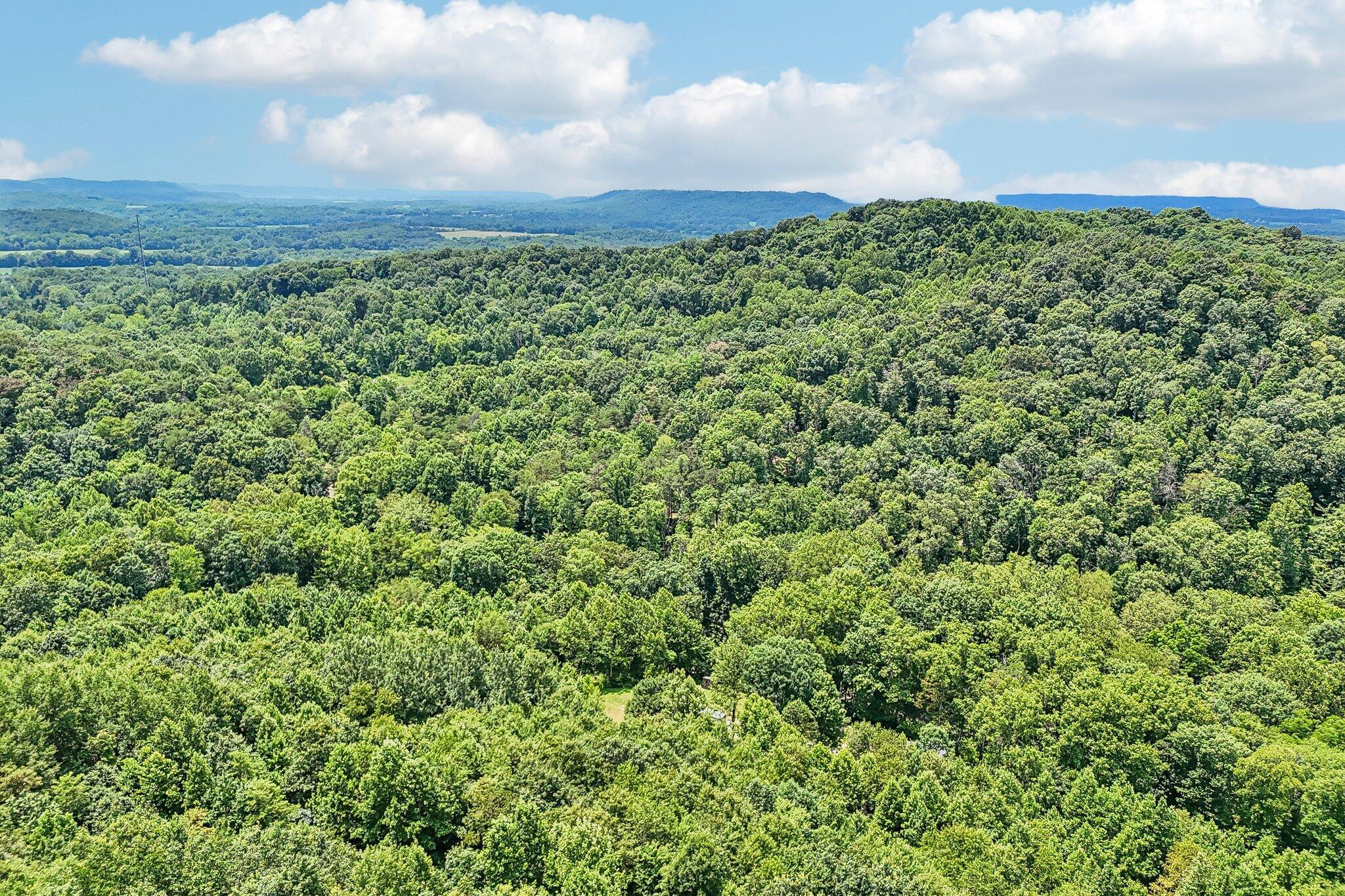 33509 Clipner Road Property Photo 45