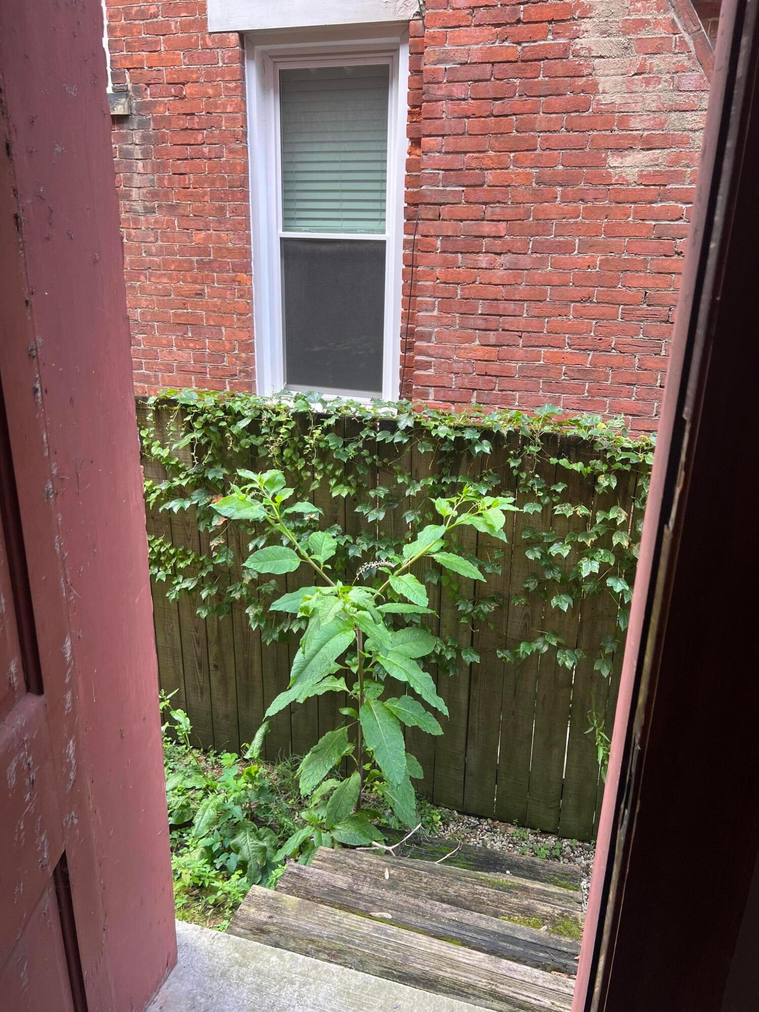 183 S 19th Street Property Photo 86