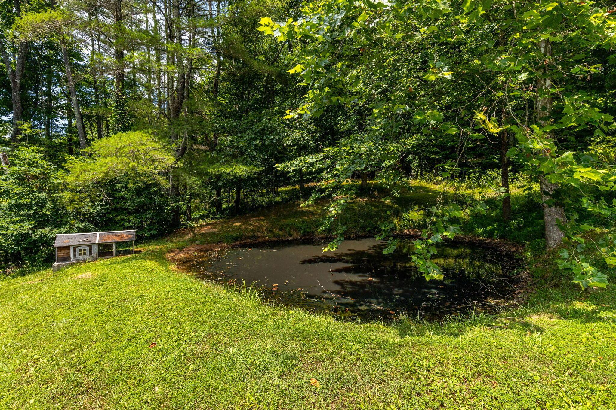34796 Geiger Road Property Photo 48