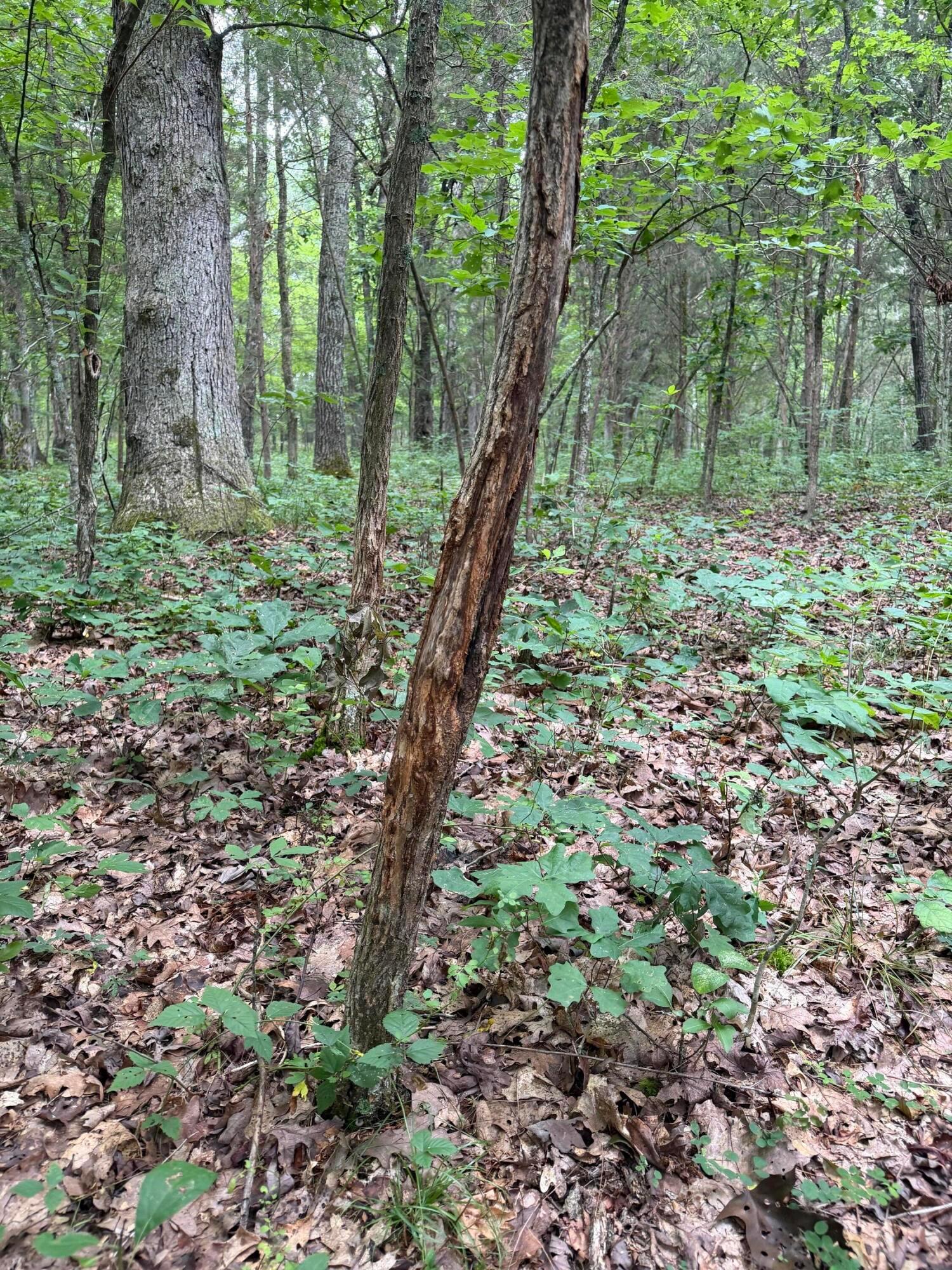 17883 State Route 41 Property Photo 26