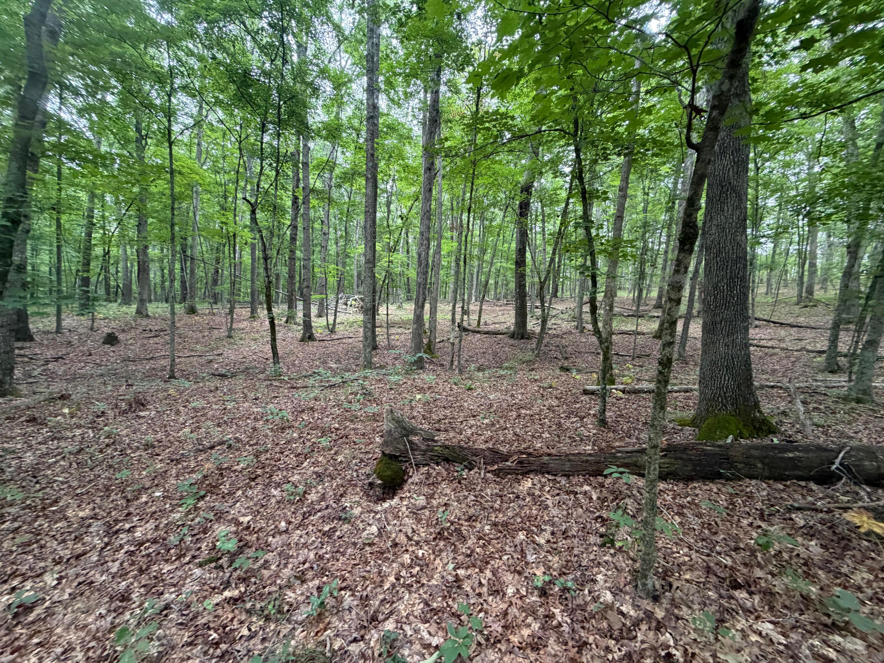 17883 State Route 41 Property Photo 30