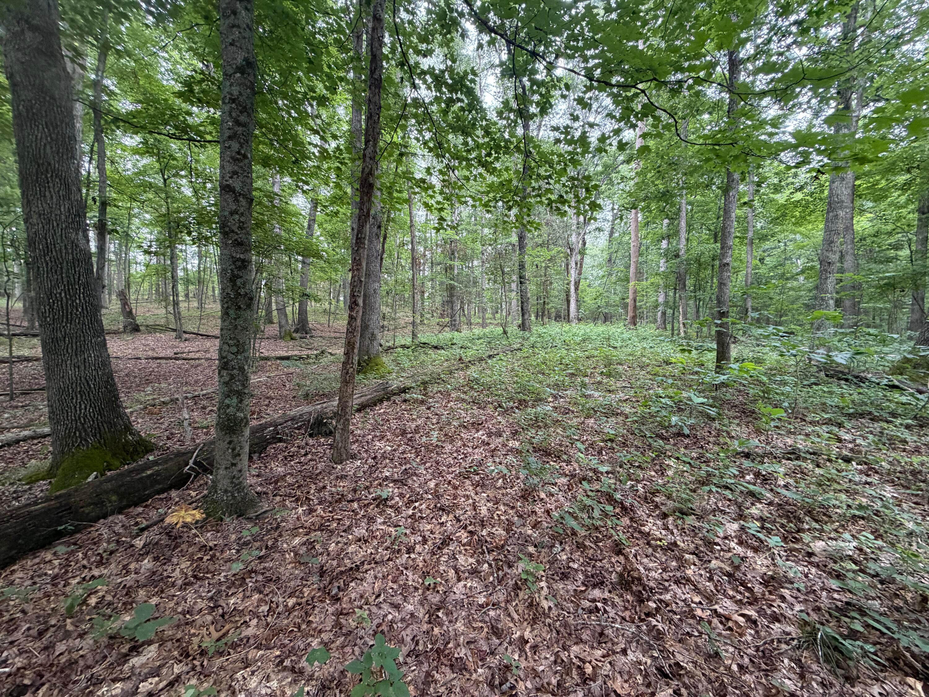 17883 State Route 41 Property Photo 31