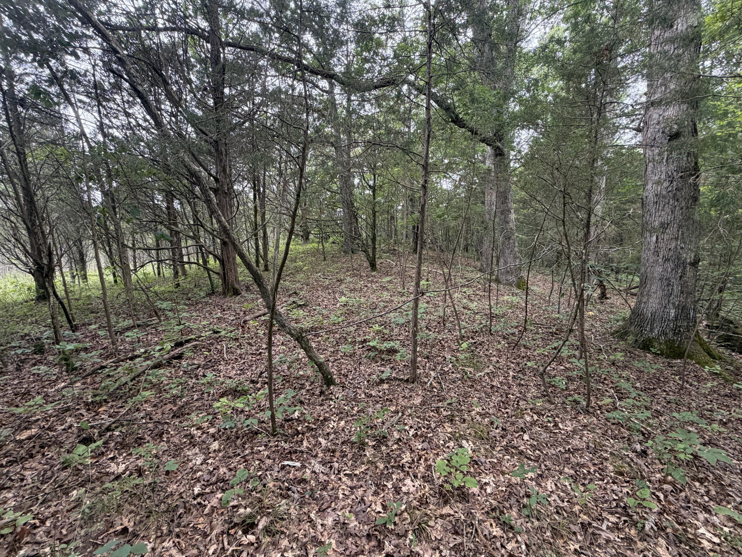 17883 State Route 41 Property Photo 45