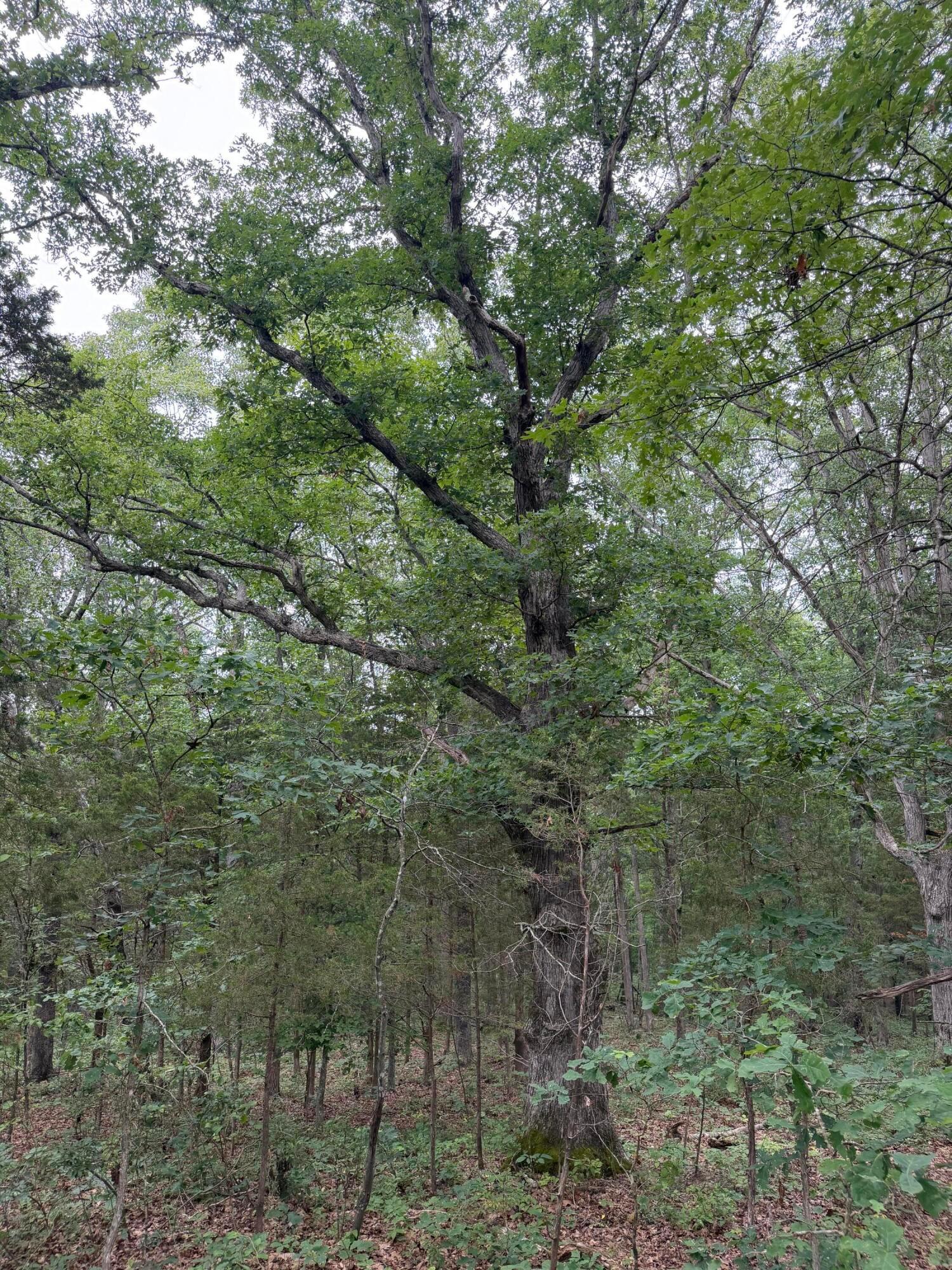 17883 State Route 41 Property Photo 46