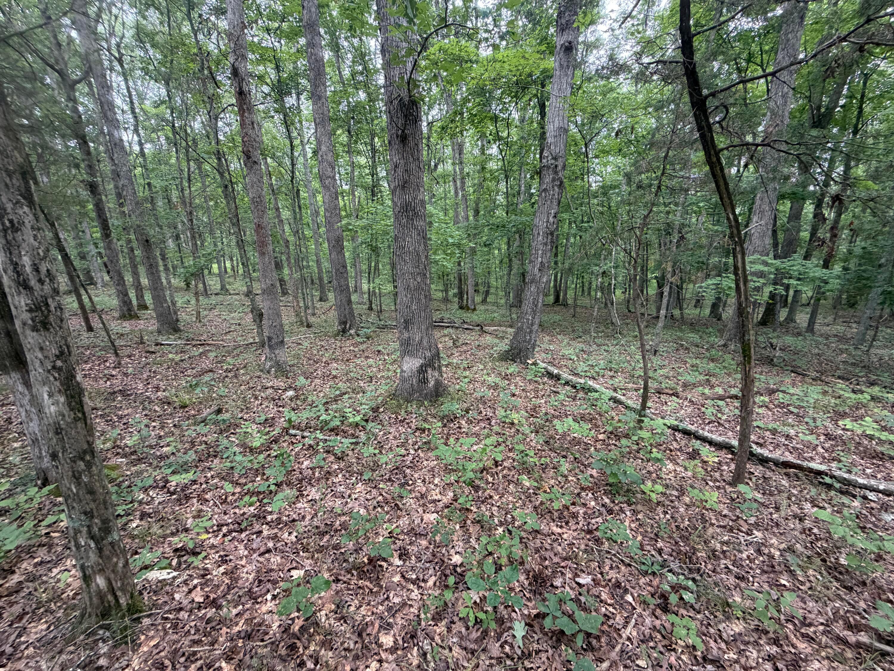 17883 State Route 41 Property Photo 47