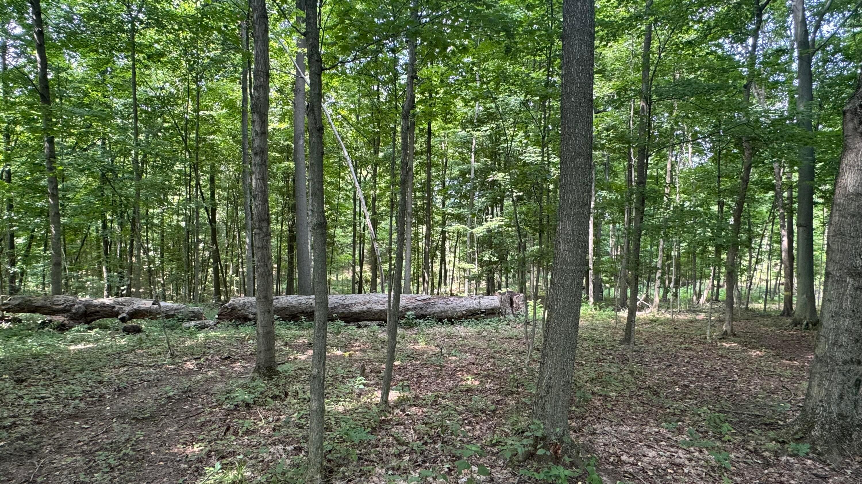 0 Us Rt 250 Property Photo 8