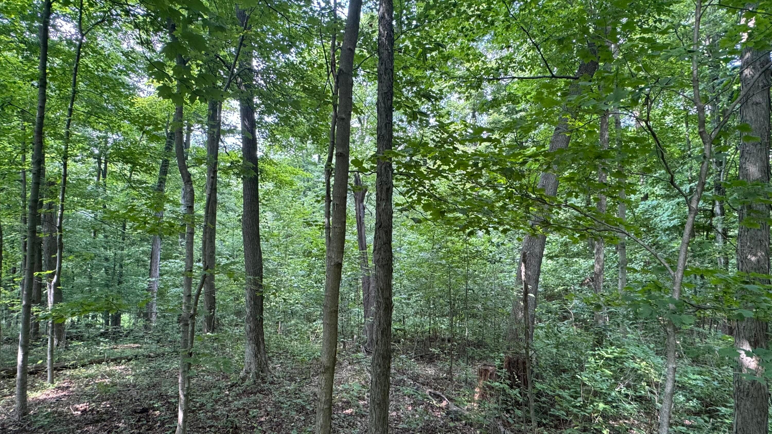 0 Us Rt 250 Property Photo 15