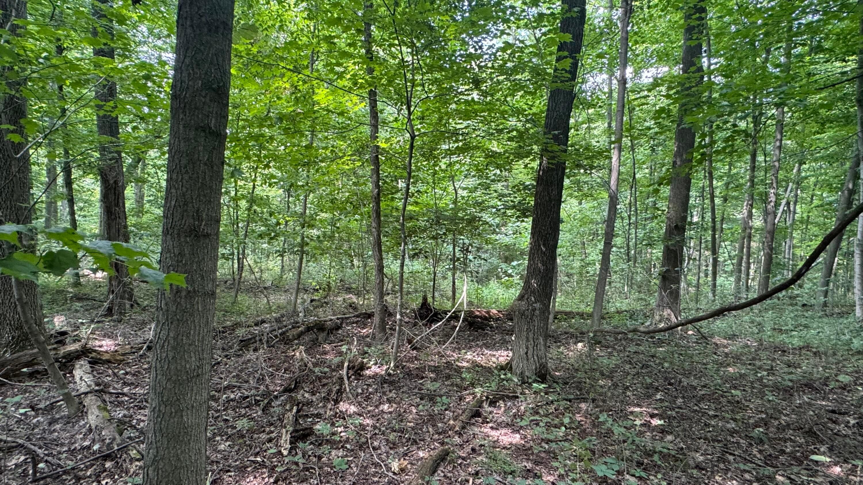 0 Us Rt 250 Property Photo 19