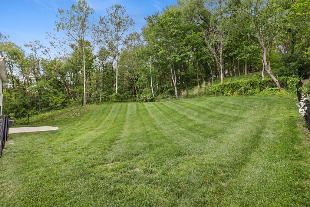 1285 Bluejack Lane Property Photo 7