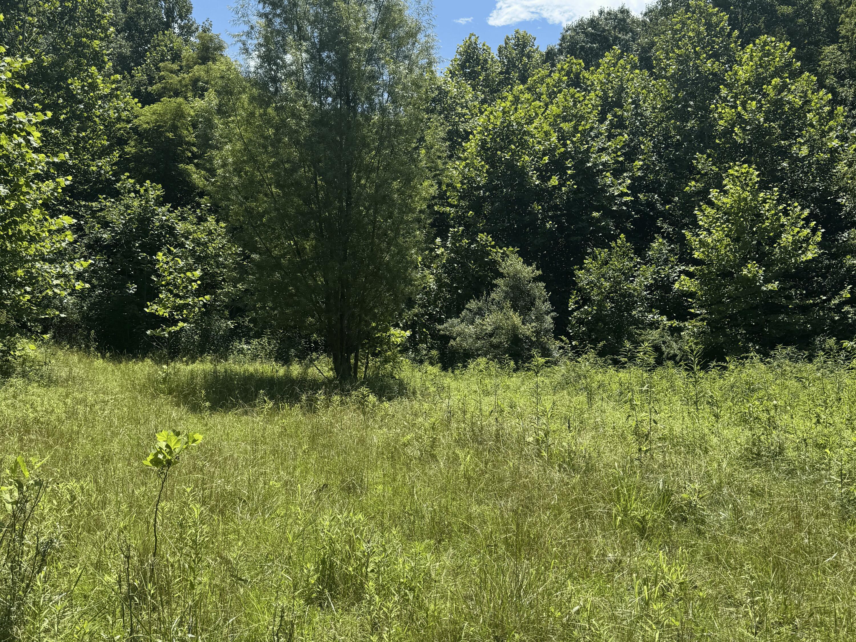3247 Mcnamer Brown Road Property Photo 10