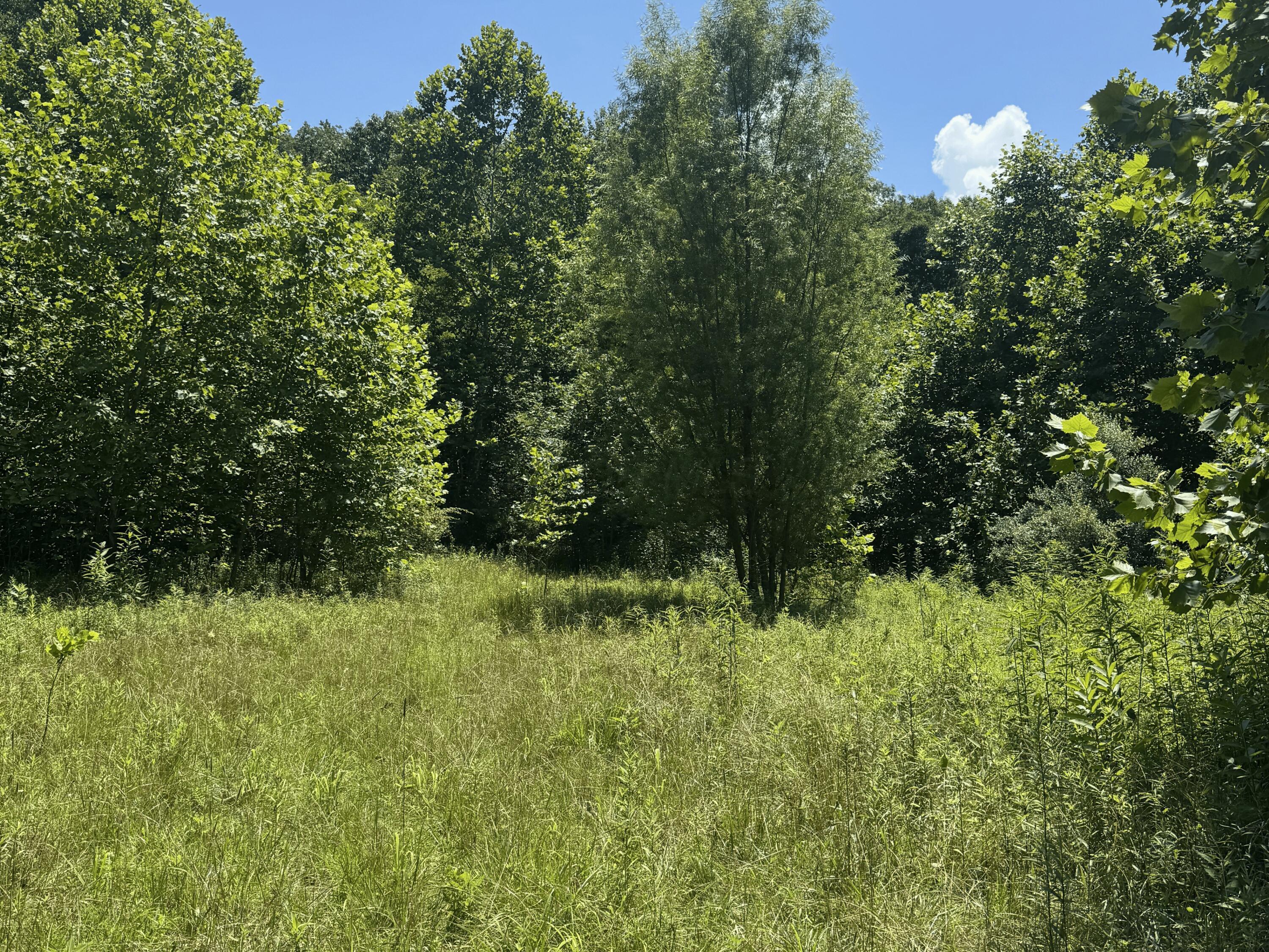 3247 Mcnamer Brown Road Property Photo 11