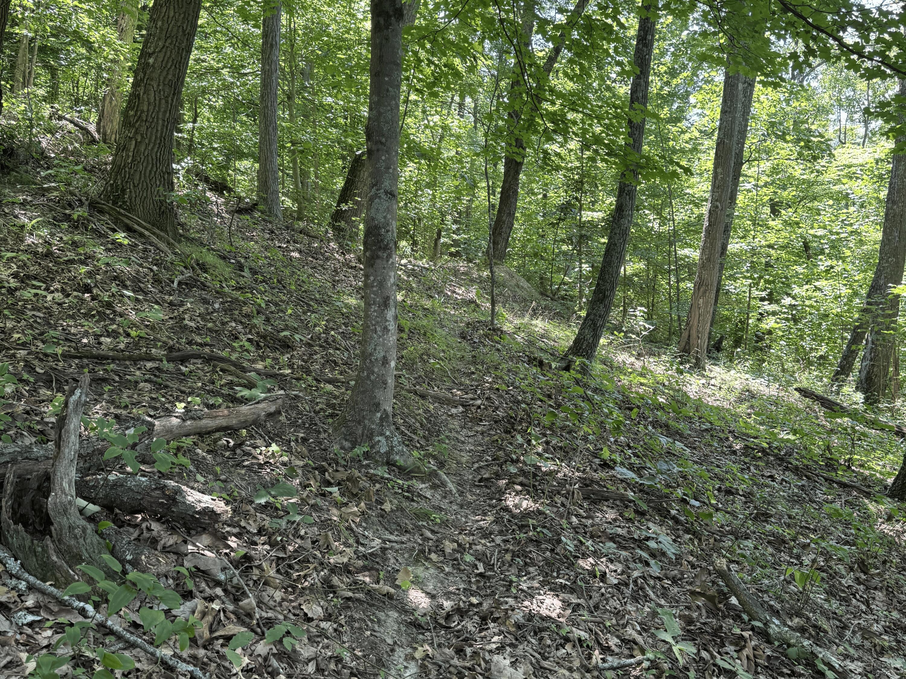 3247 Mcnamer Brown Road Property Photo 13