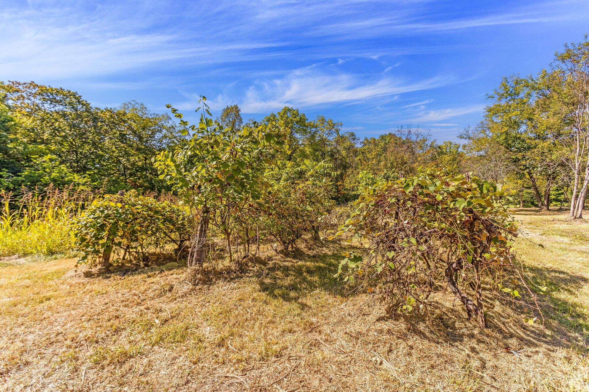 4511 Potts Hill Road Property Photo 34