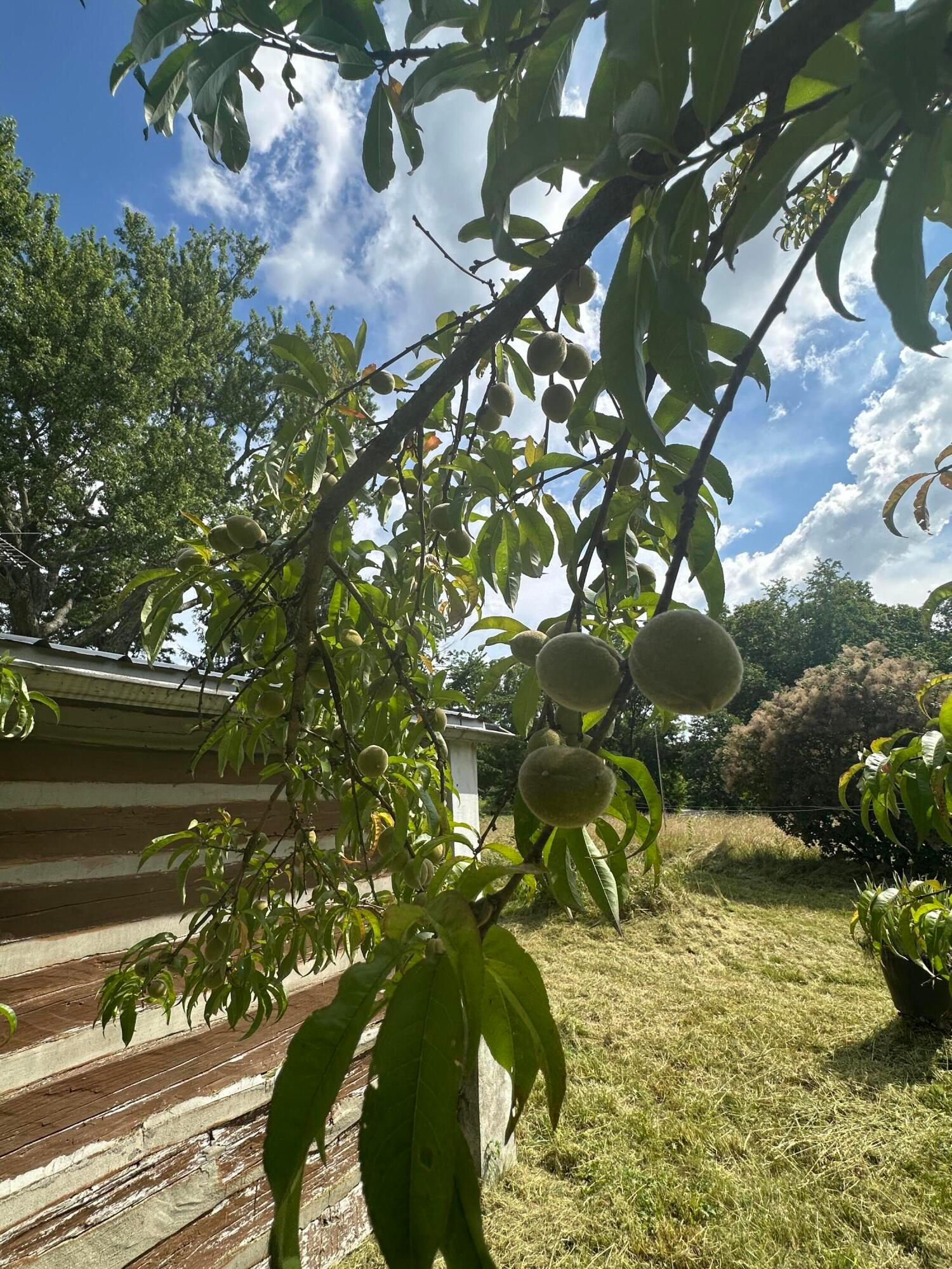 4511 Potts Hill Road Property Photo 60