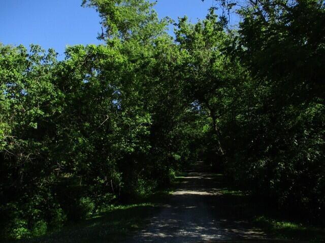 9791 Swaro Road Property Photo 29
