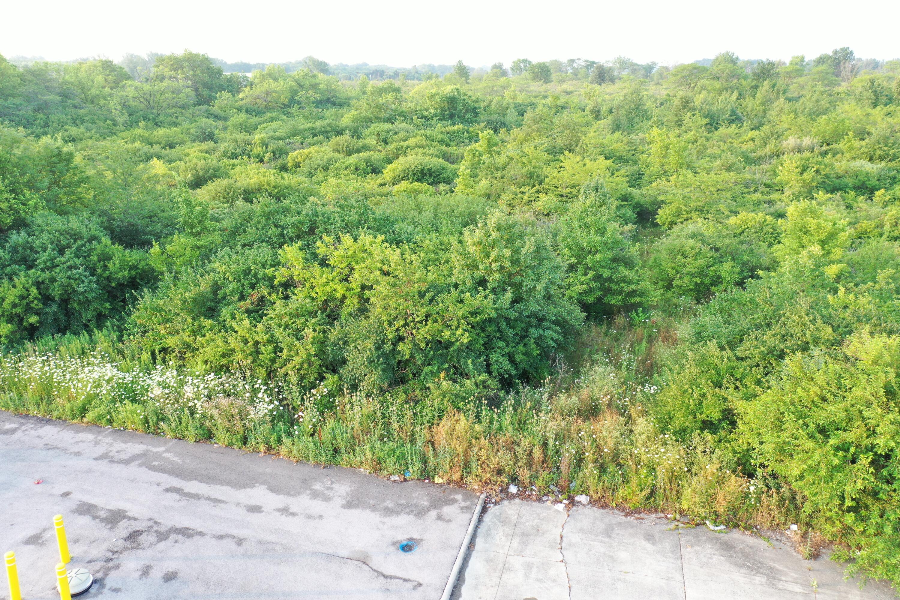 0 W Perkins Avenue Property Photo 19