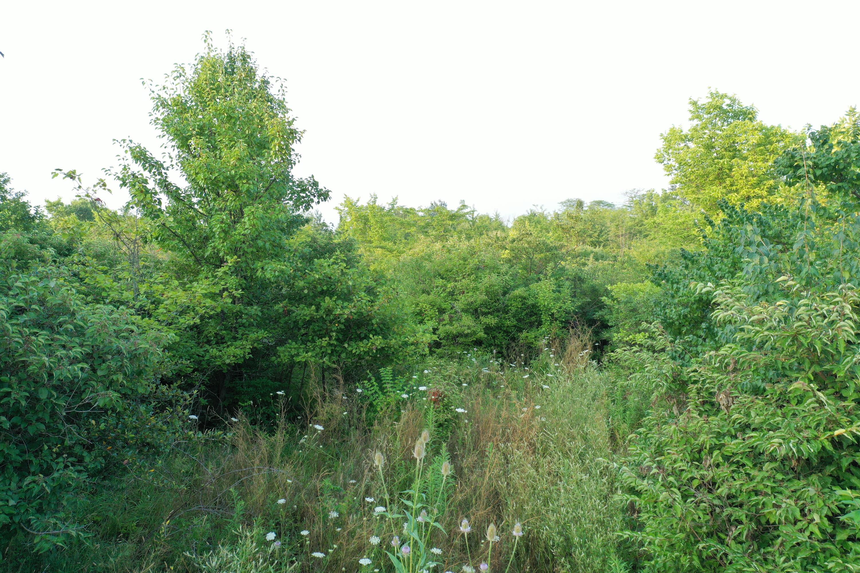 0 W Perkins Avenue Property Photo 26