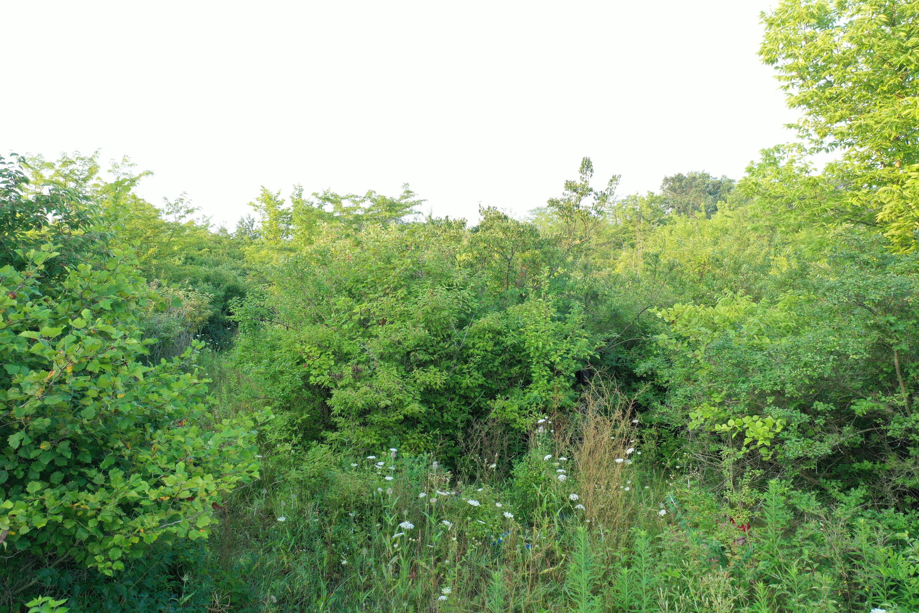 0 W Perkins Avenue Property Photo 27