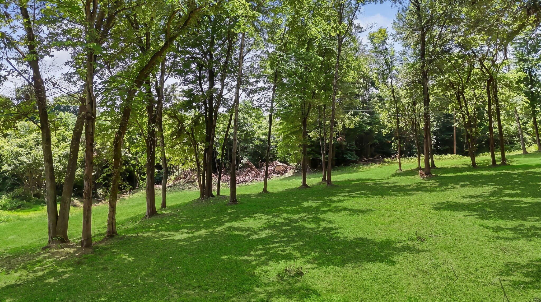 7525 95 Road, Butcher Knife Property Photo 3