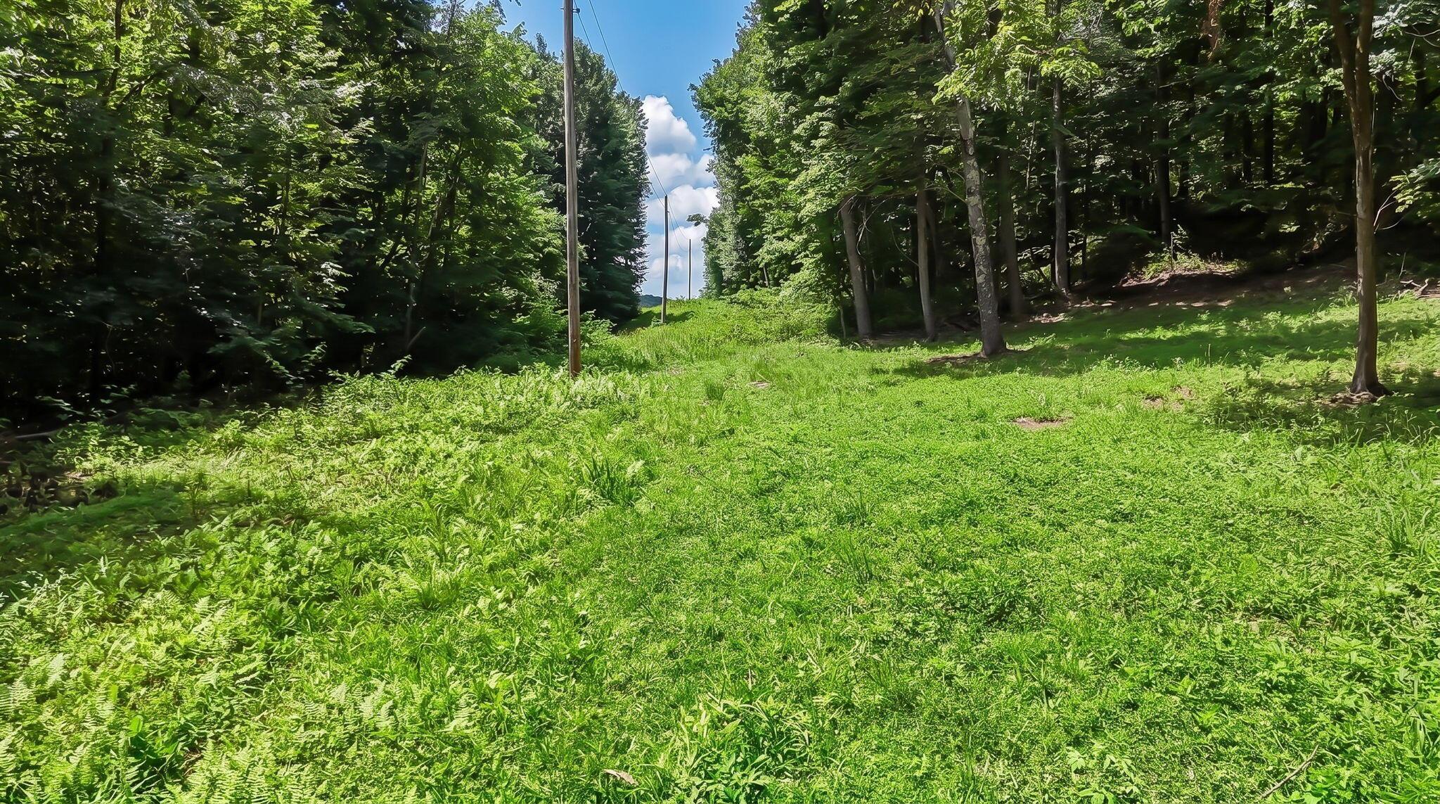 7525 95 Road, Butcher Knife Property Photo 12