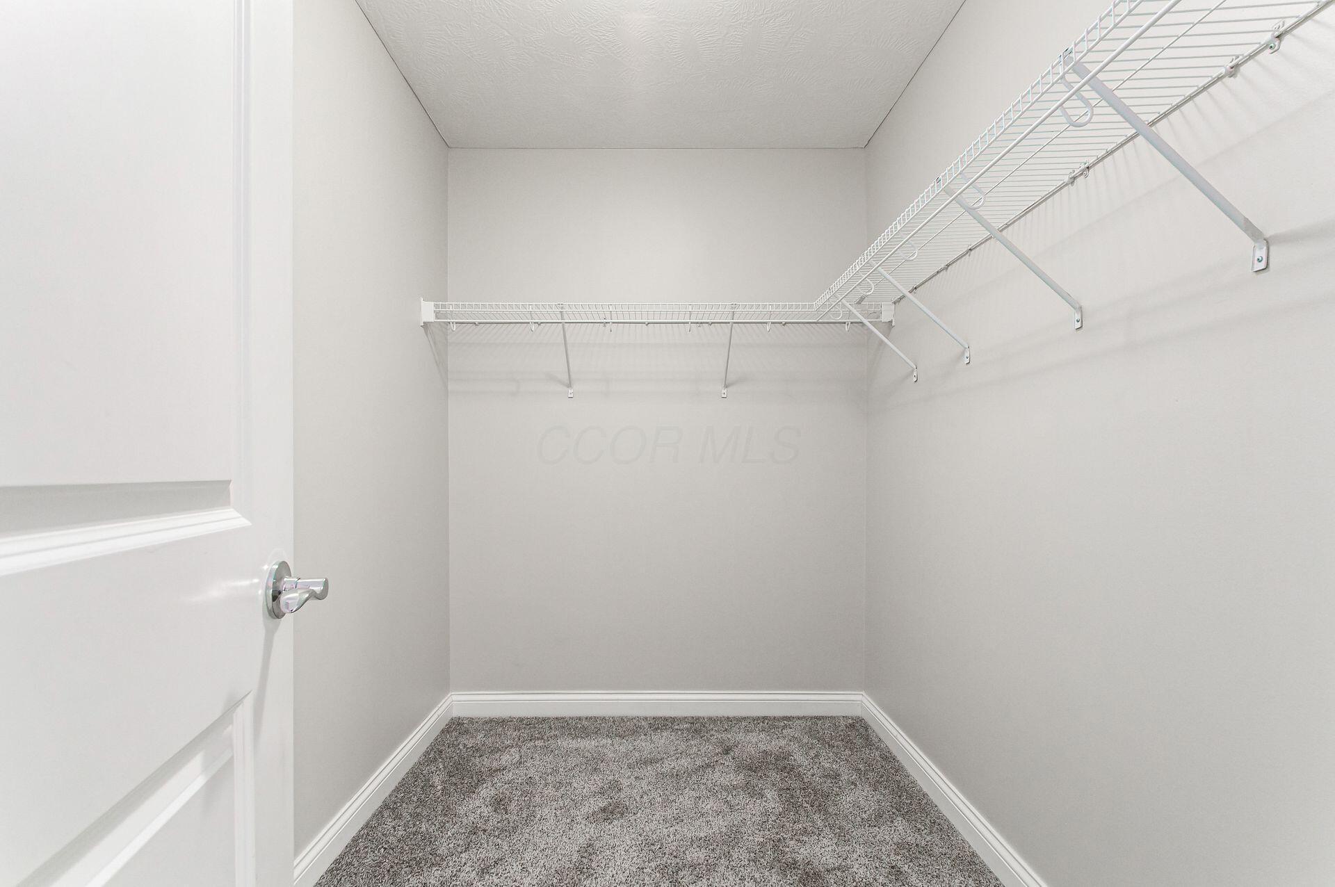 5491 Albany Terrace Way Property Photo 32