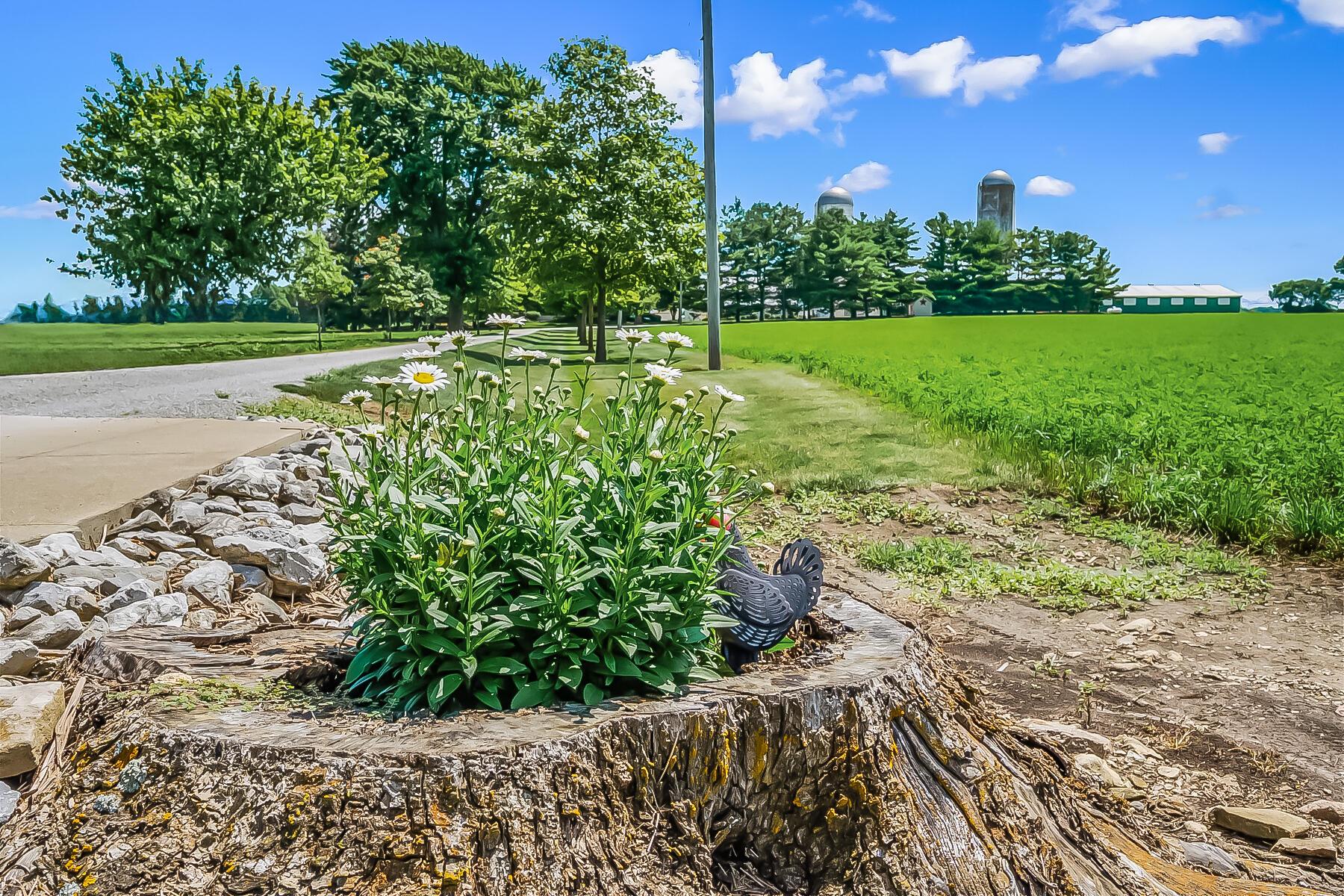 3866 State Route 203 Property Photo 3