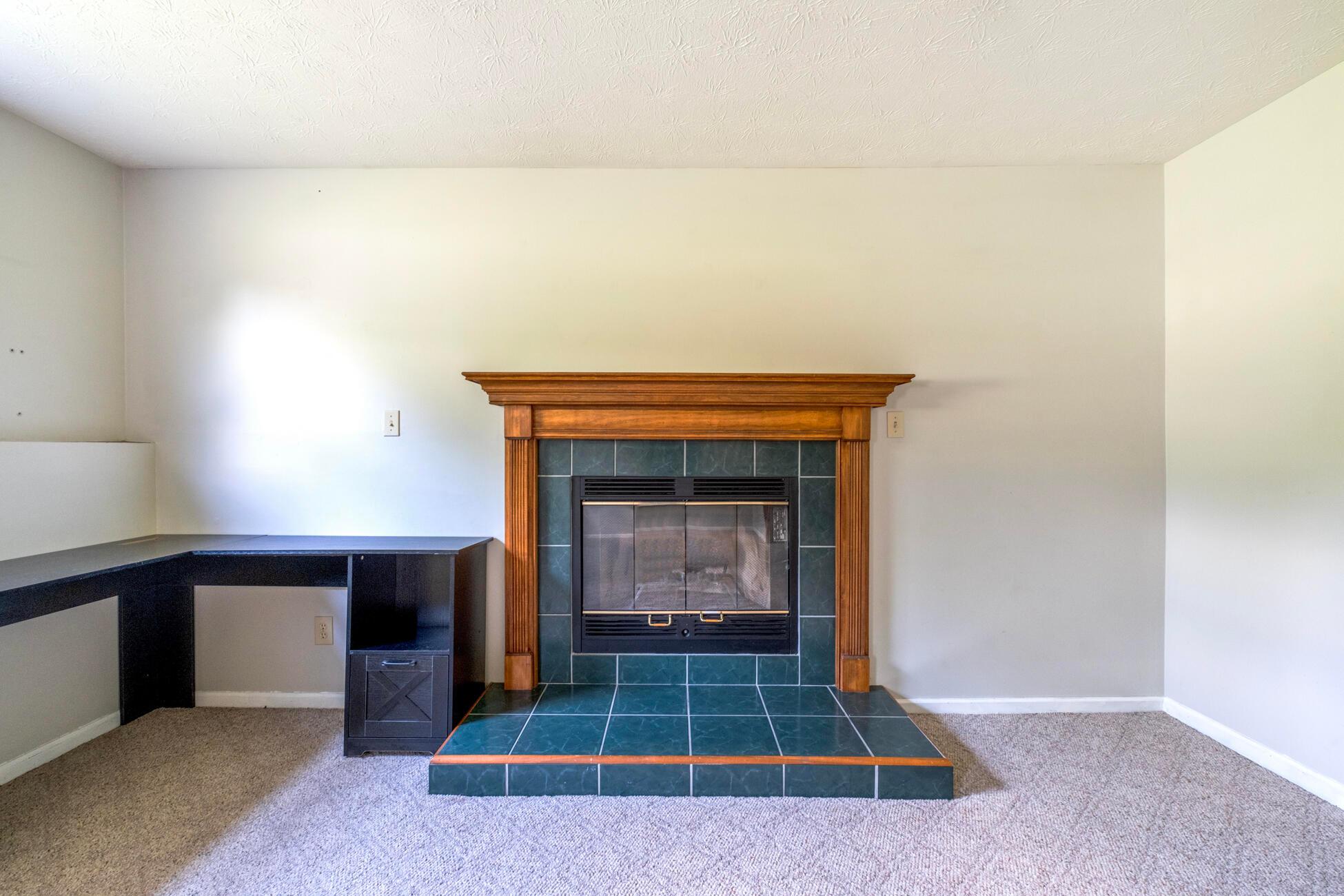 746 Spring Falls Avenue Property Photo 46