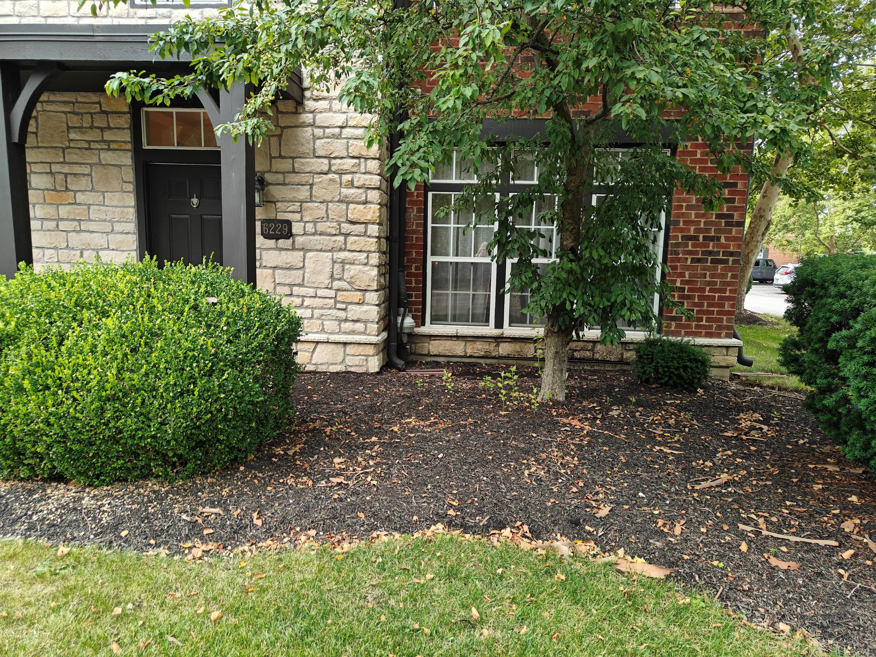 6229 Craughwell Lane Property Photo 1