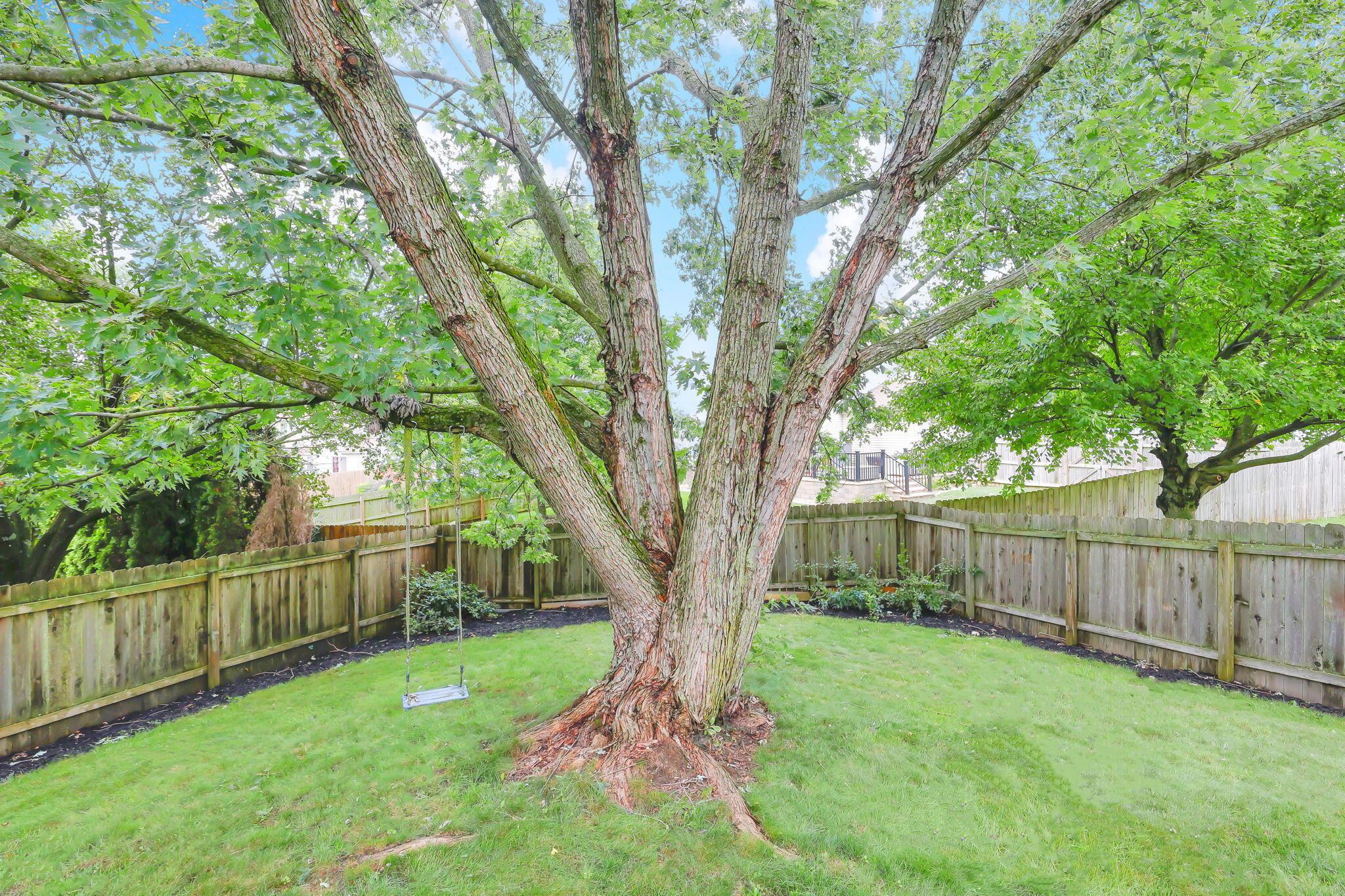 137 Clayburn Drive Property Photo 45
