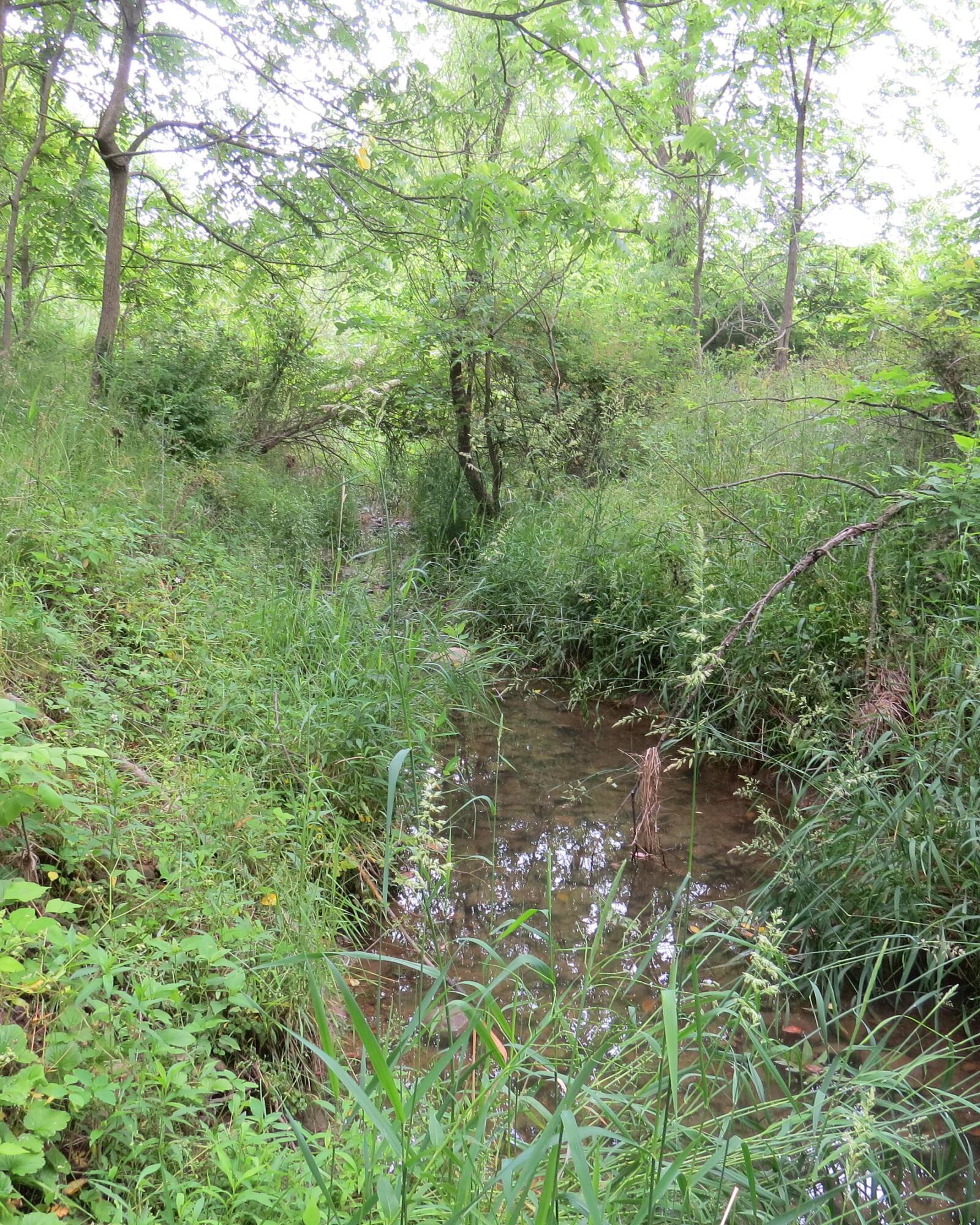 9730 Butcher Road Property Photo 4