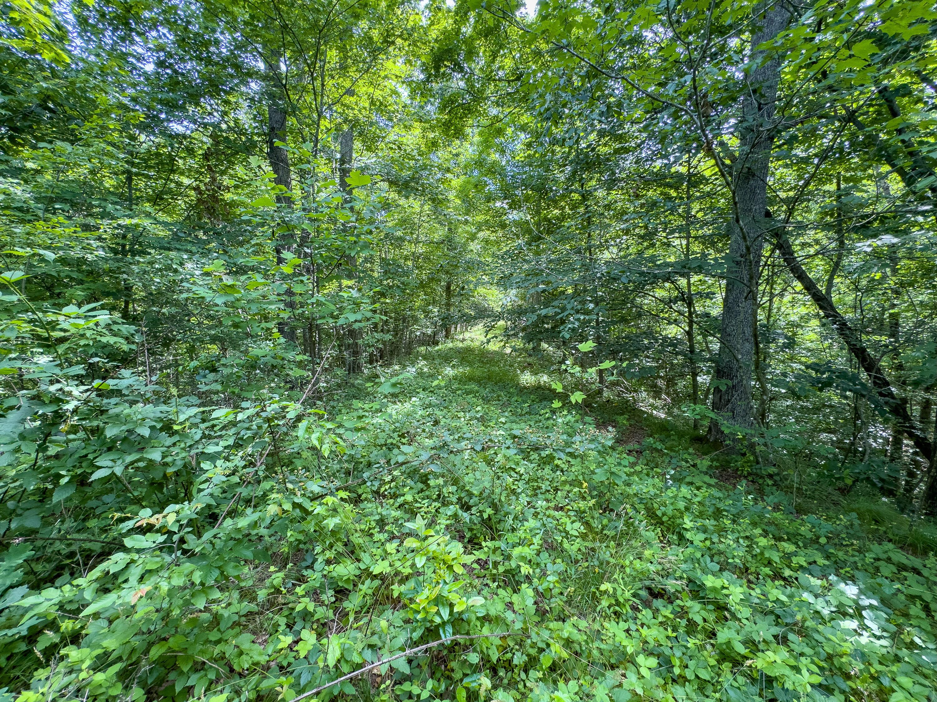 0 Symmes Creek Road Property Photo 18